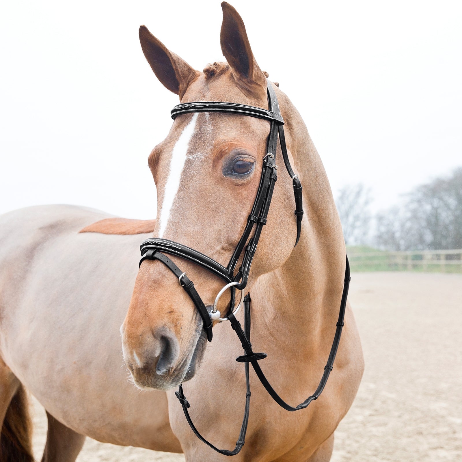Horze Soft Grip Rubber Reins w/stoppers Bridles & Reins
