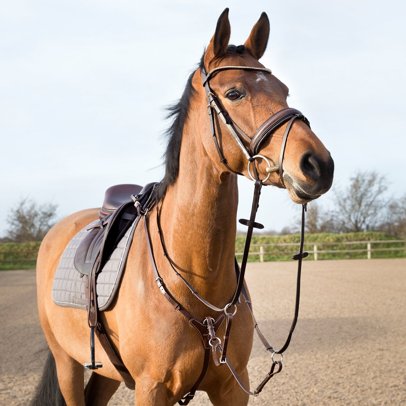 Horze Collier de chasse réglable Briderie et enrênements