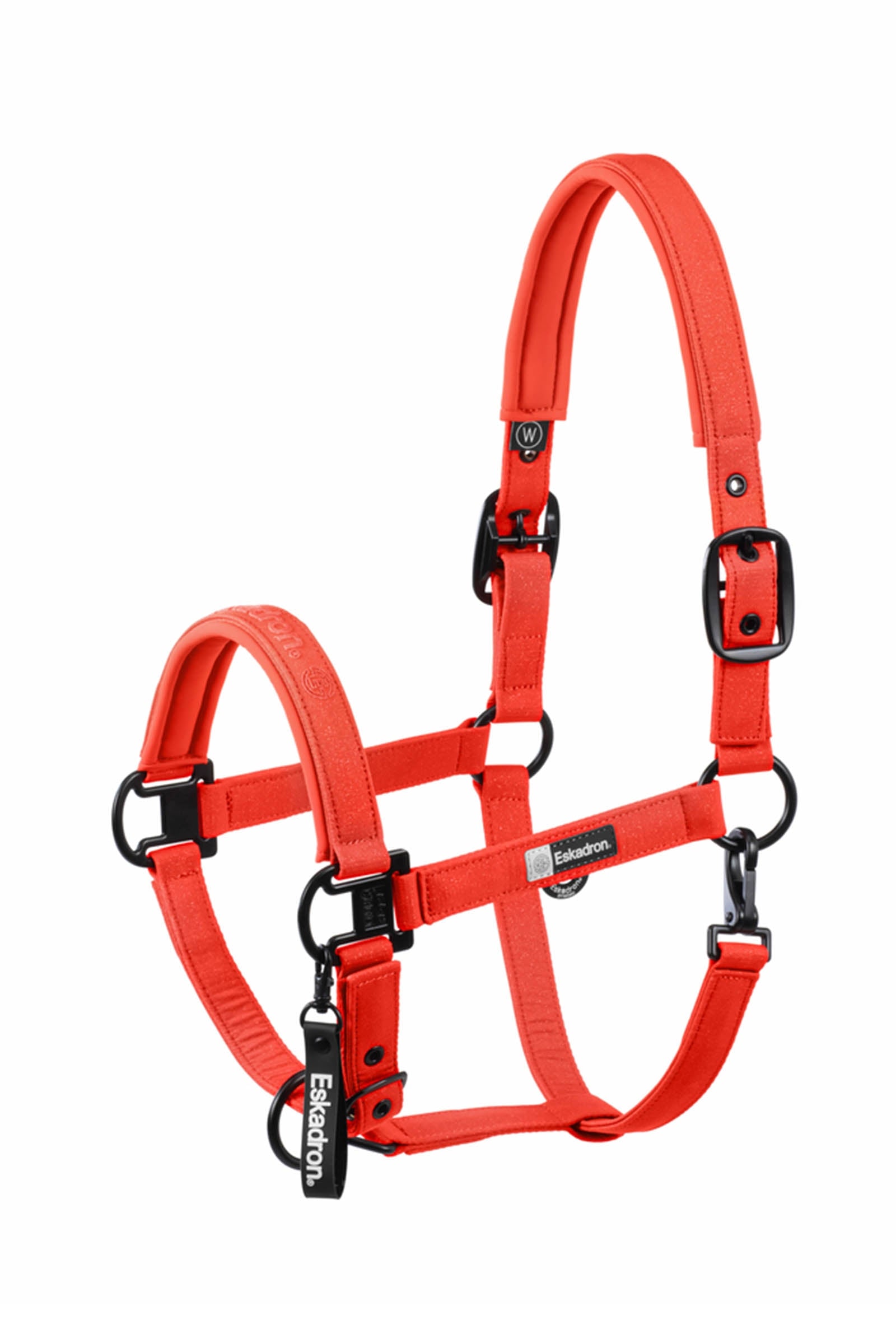 Eskadron Dynamics AW25 licol brillant à double ardillon Licols & longes