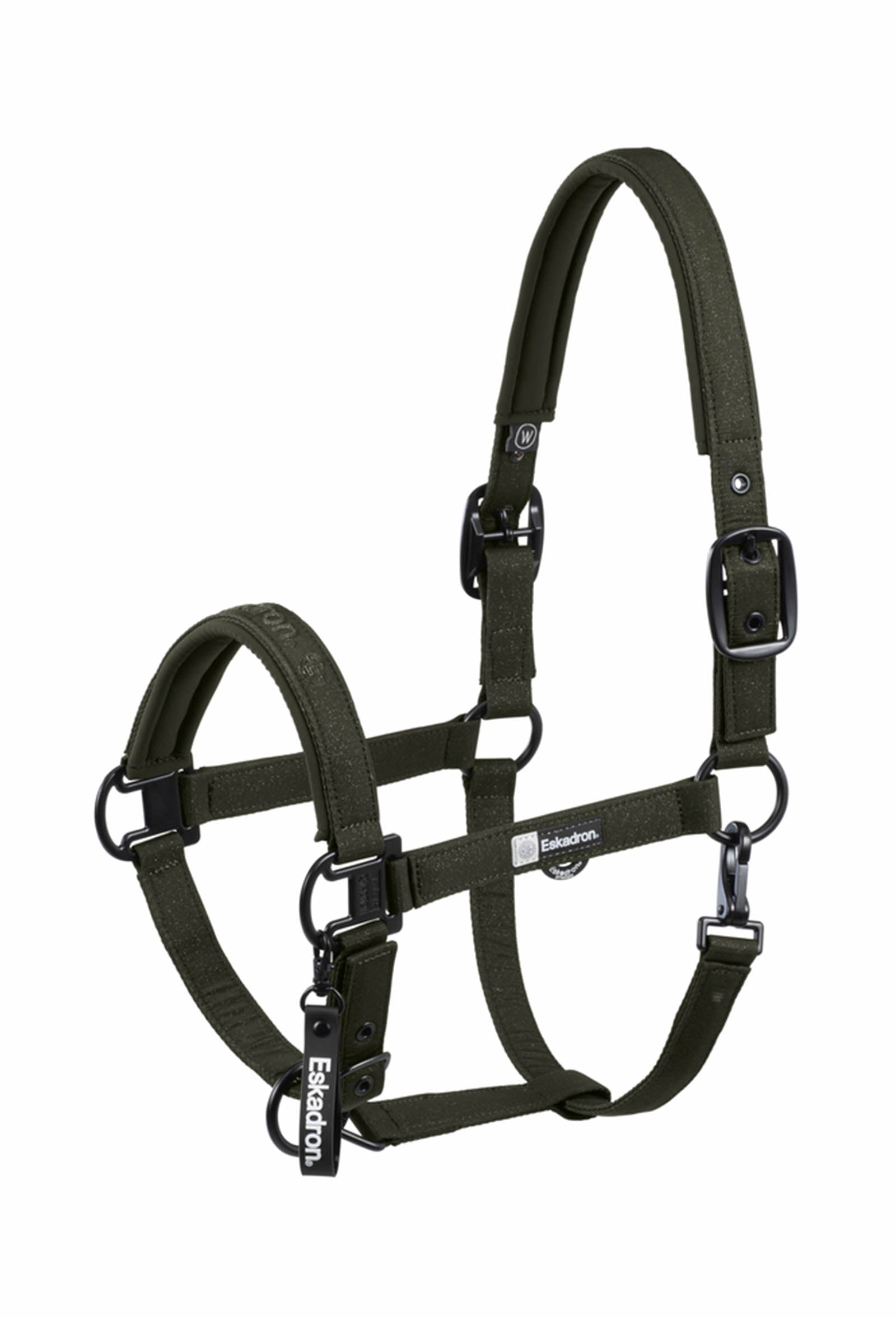 Eskadron Dynamics AW25 licol brillant à double ardillon Licols & longes