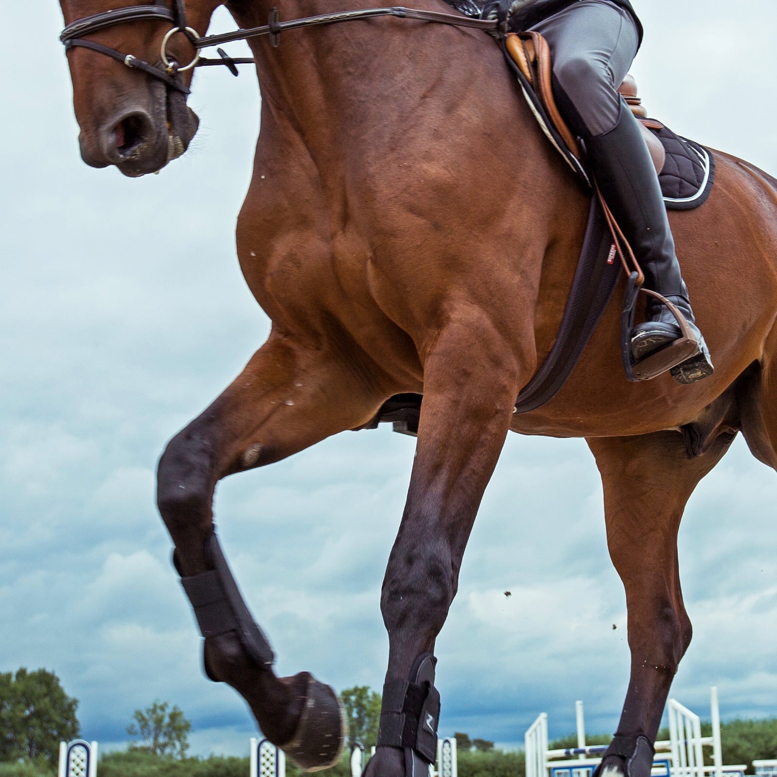 Horze Dallas All Purpose Girth Saddles, Girths & Stirrups