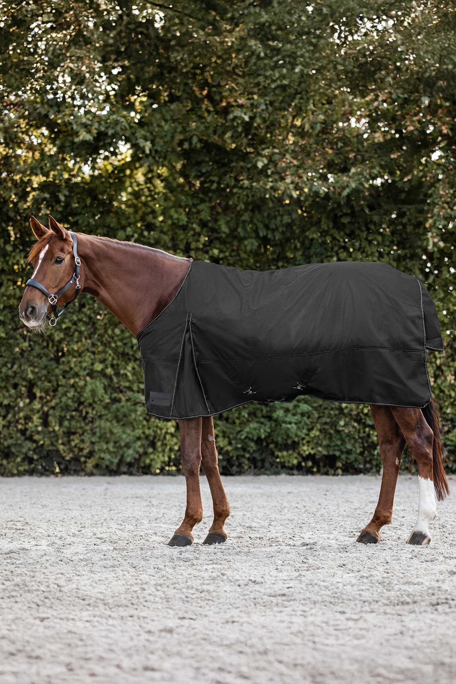 Waldhausen Nordic Couverture d'extérieur, 200 g Couvertures cheval