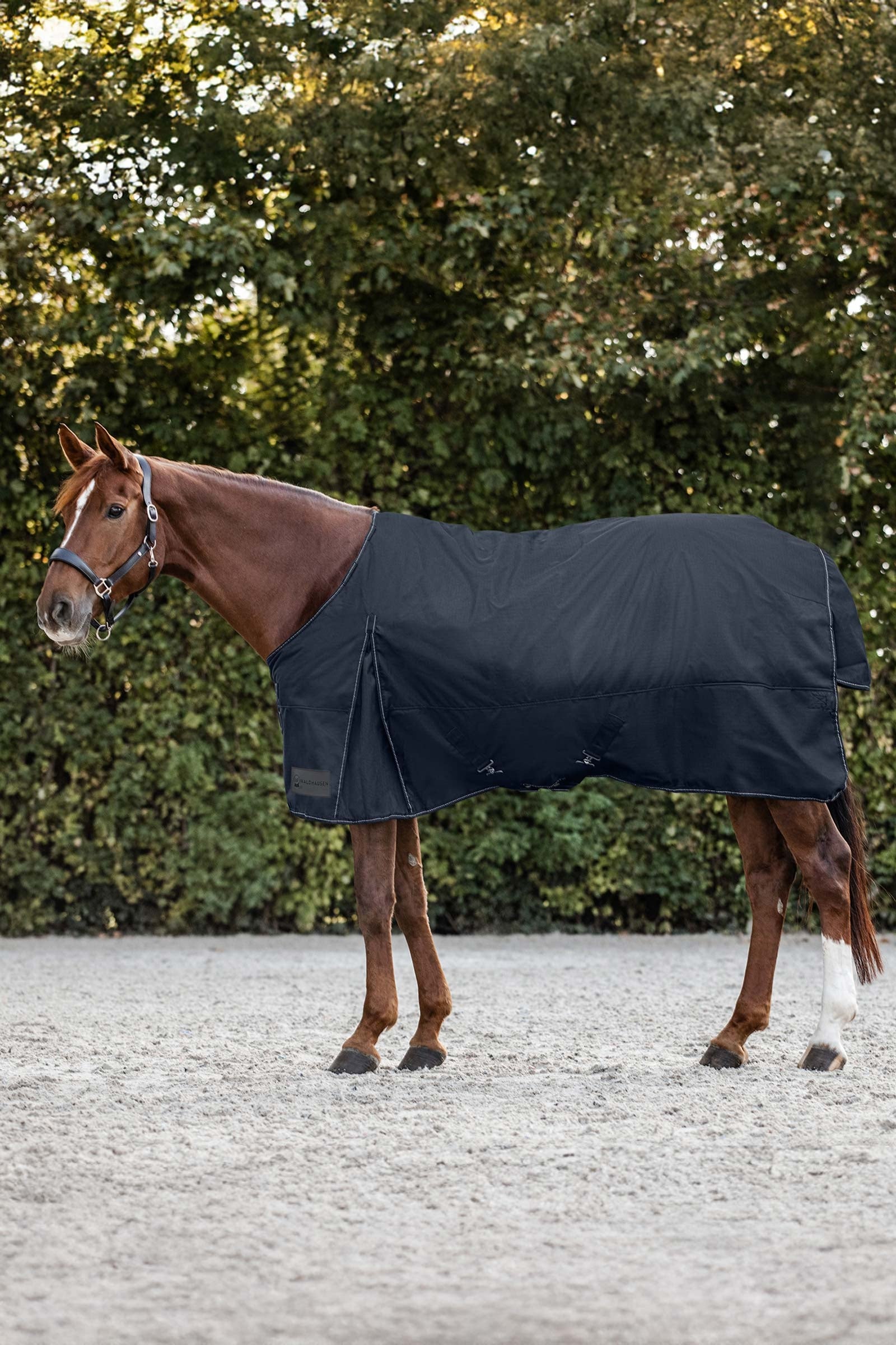 Waldhausen Nordic Couverture d'extérieur, 200 g Couvertures cheval