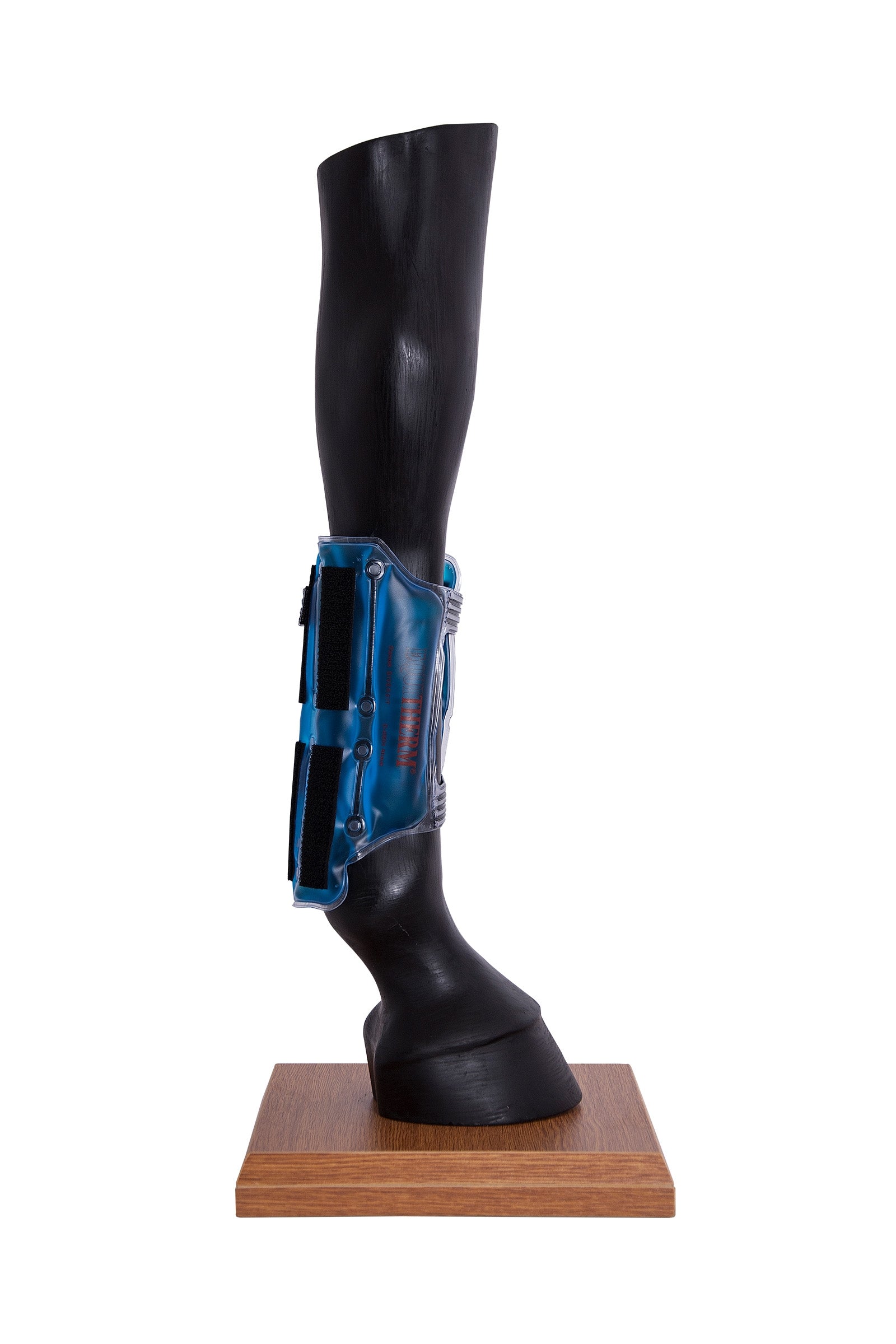 Stassek Guêtre Equitherm isotherme Leg Protection & Hoof Protection for Horses