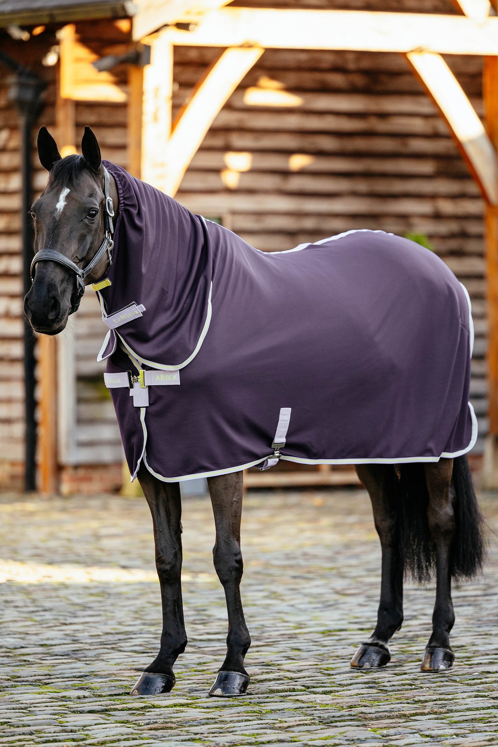 LeMieux Arika DryEase Chemise Couvertures cheval