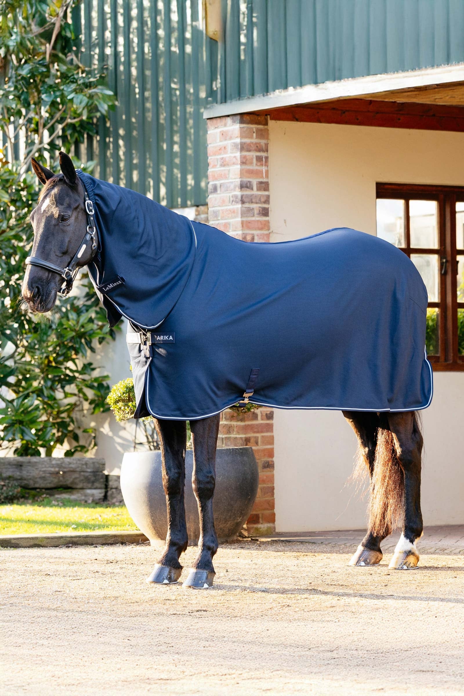 LeMieux Arika DryEase Chemise Couvertures cheval