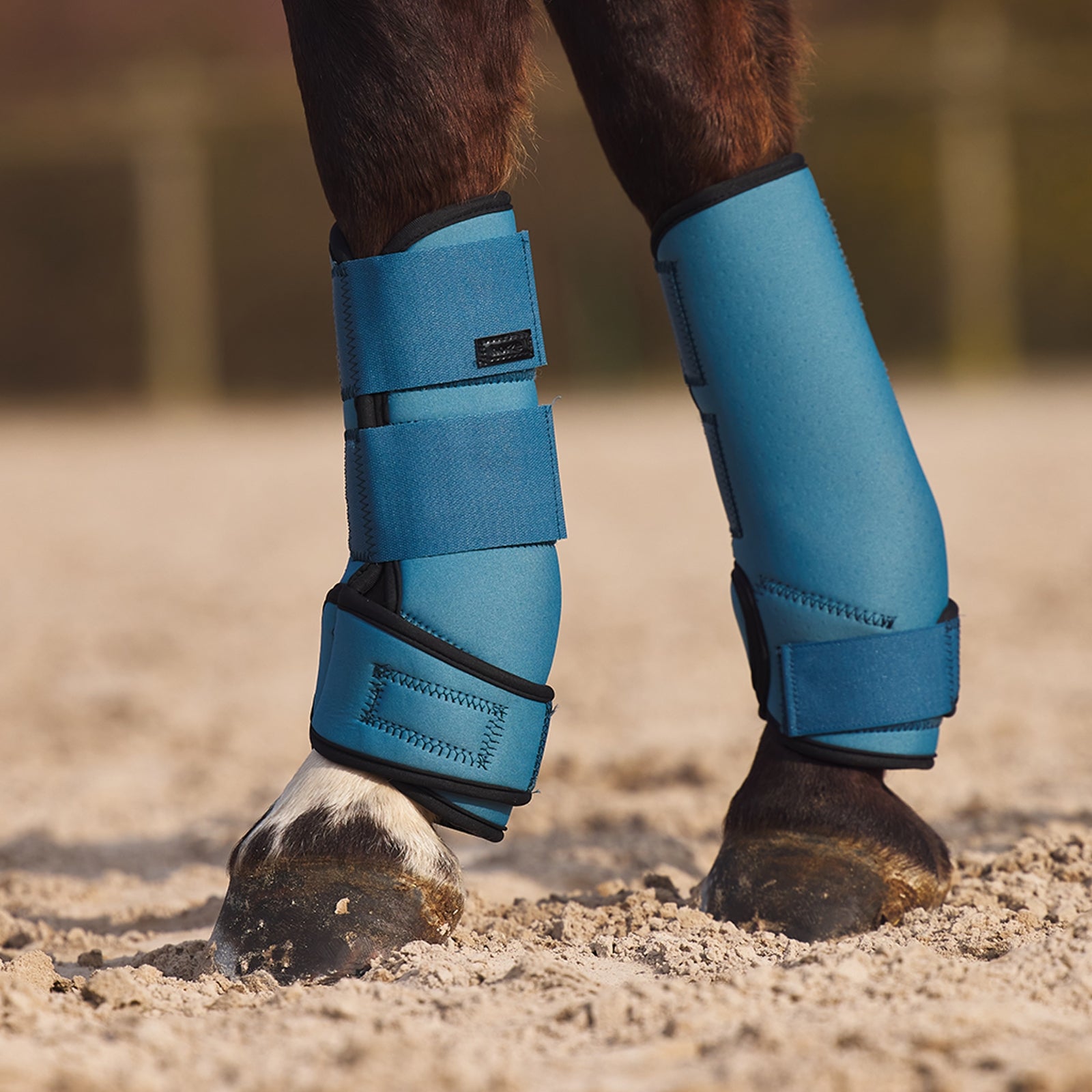 Horze Marquess Neoprene Brushing Boots Leg Protection & Hoof Protection for Horses