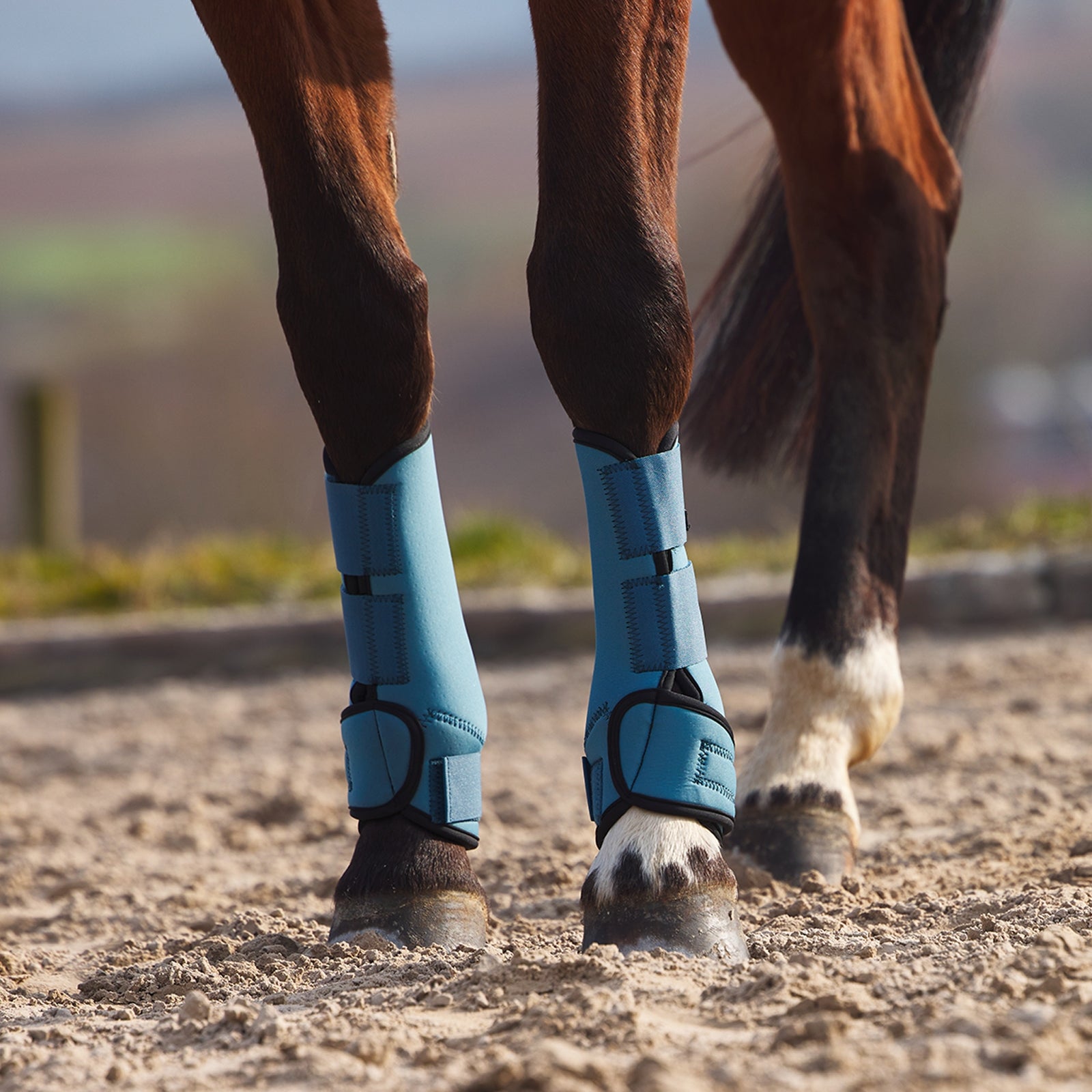Horze Marquess Neoprene Brushing Boots Leg Protection & Hoof Protection for Horses