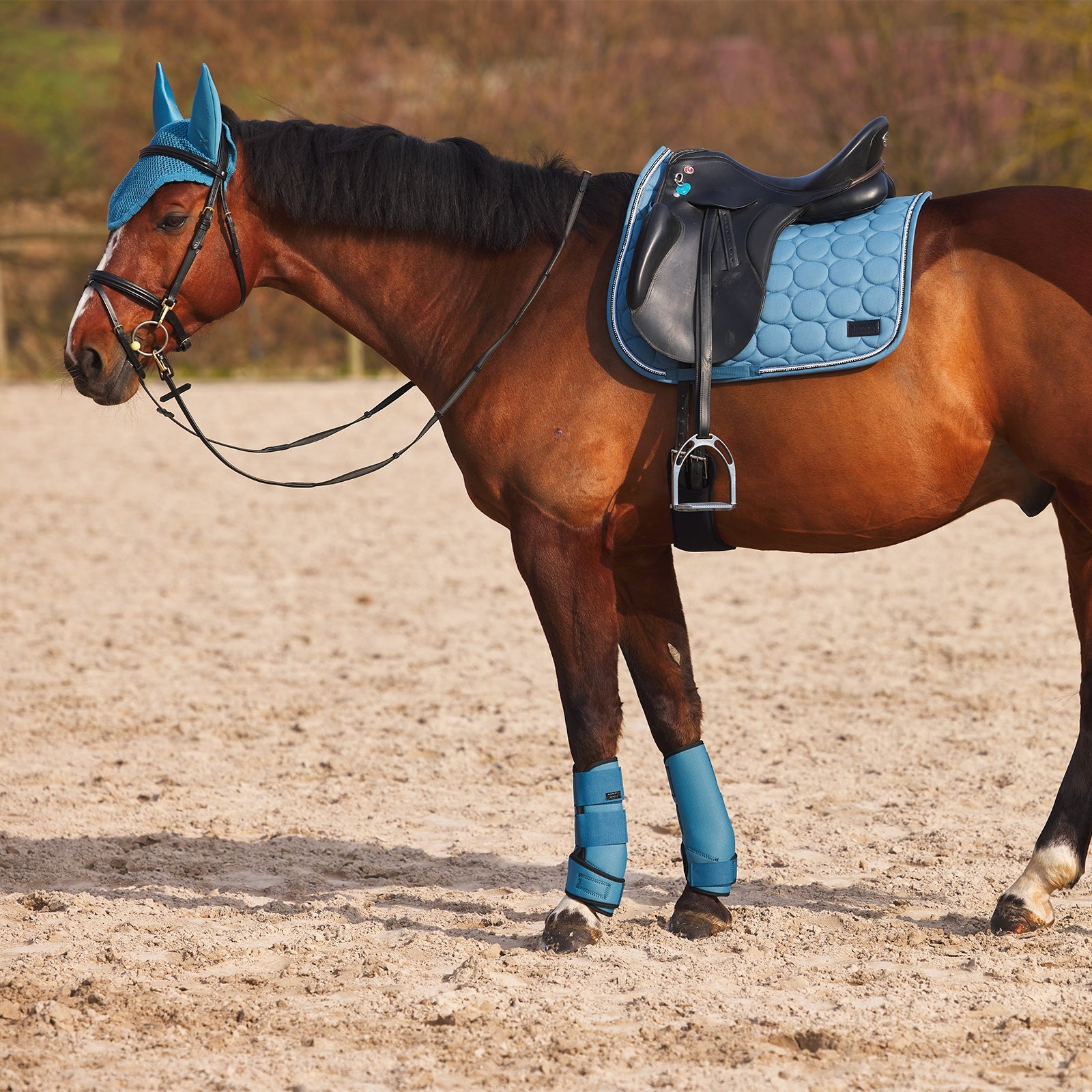 Horze Marquess Neoprene Brushing Boots Leg Protection & Hoof Protection for Horses