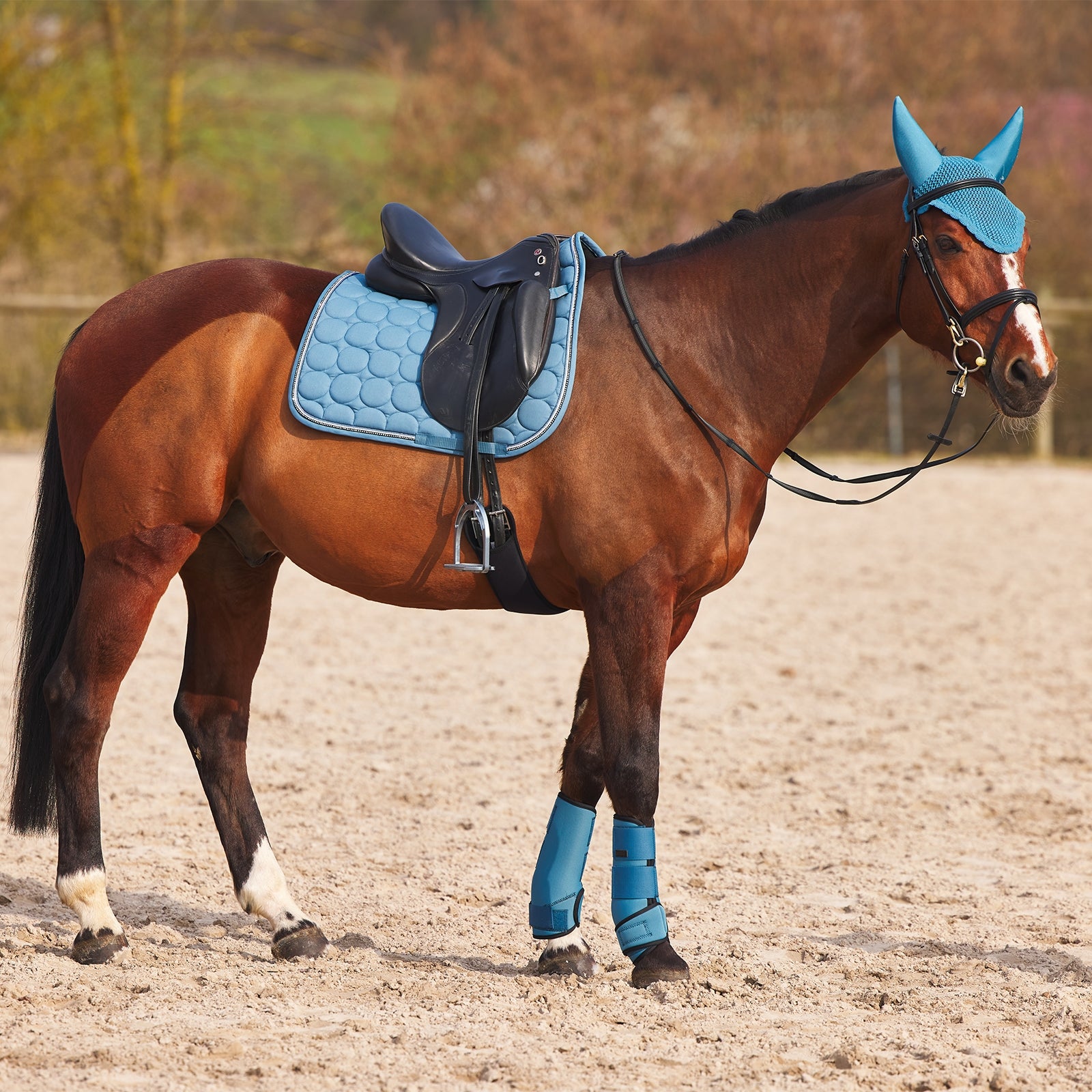 Horze Marquess Neoprene Brushing Boots Leg Protection & Hoof Protection for Horses