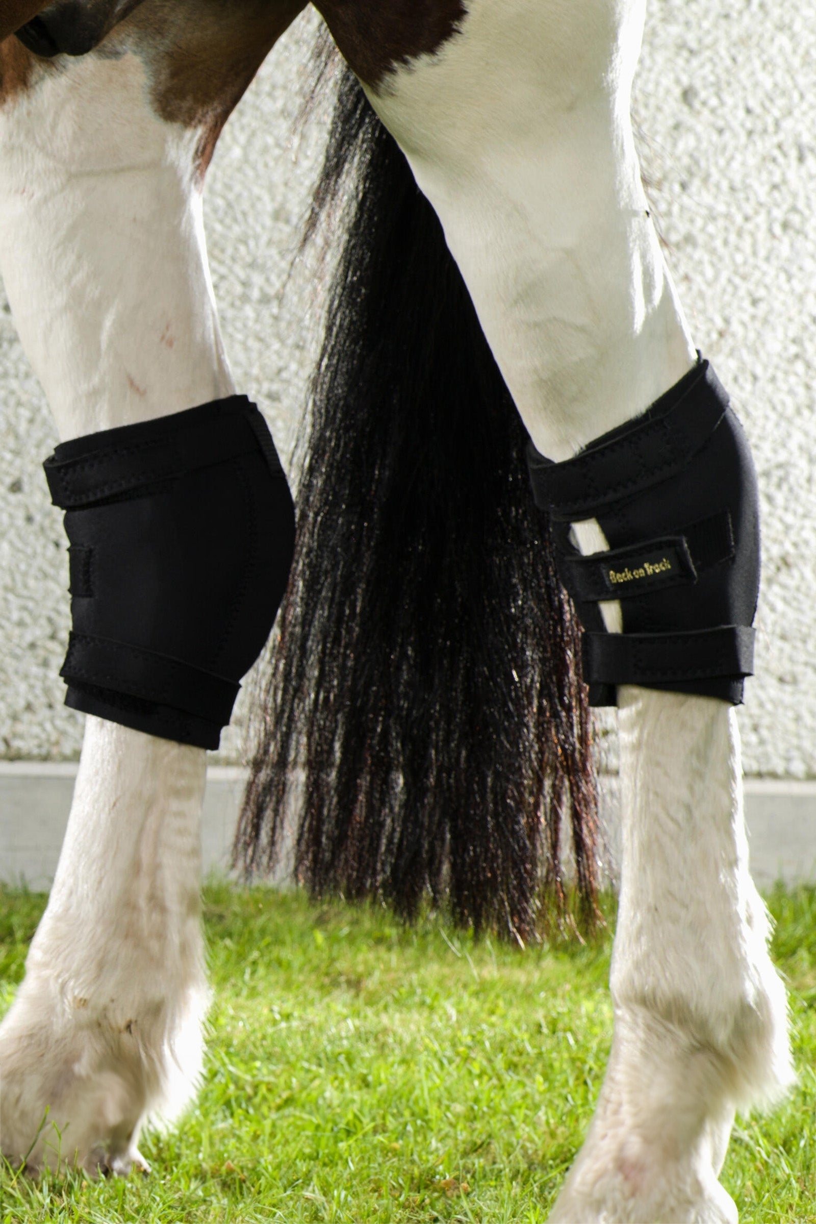 Back on Track Back On Track Hock Boot, Right Leg Protection & Hoof Protection for Horses