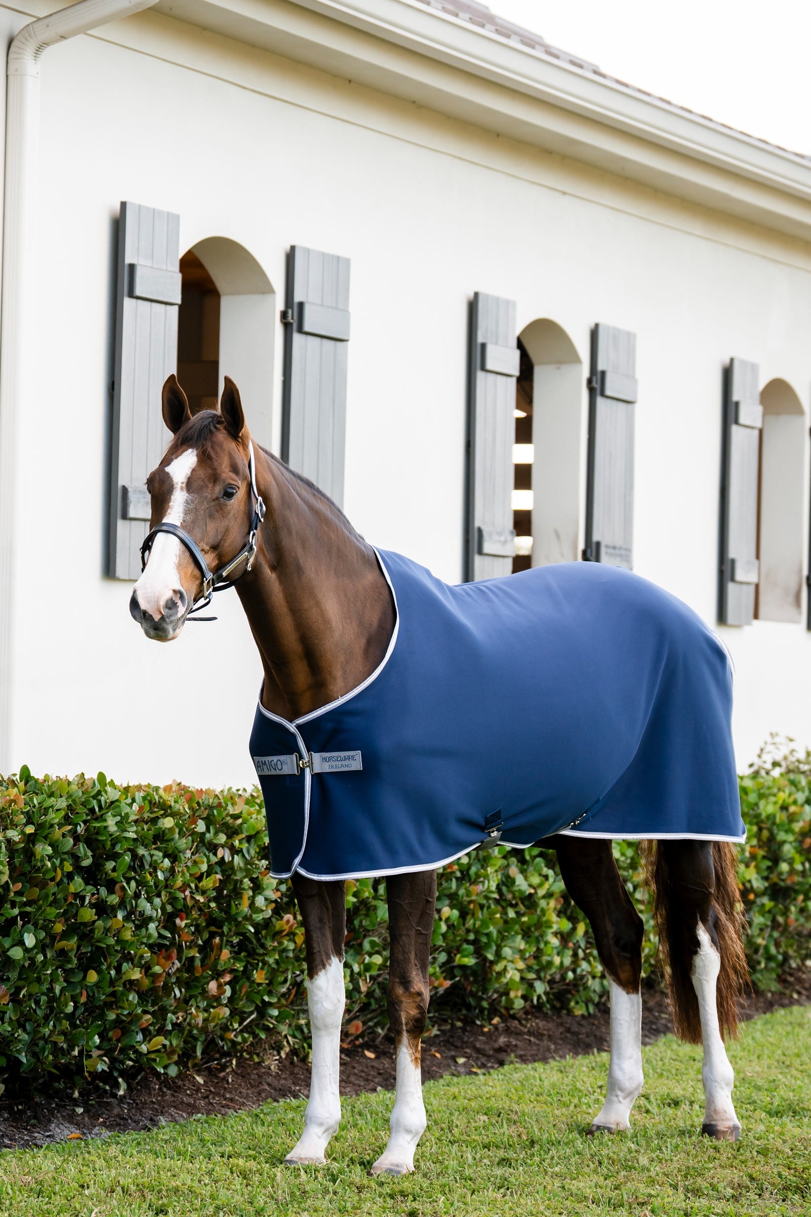 Horseware Amigo chemise séchante jersey Couvertures cheval
