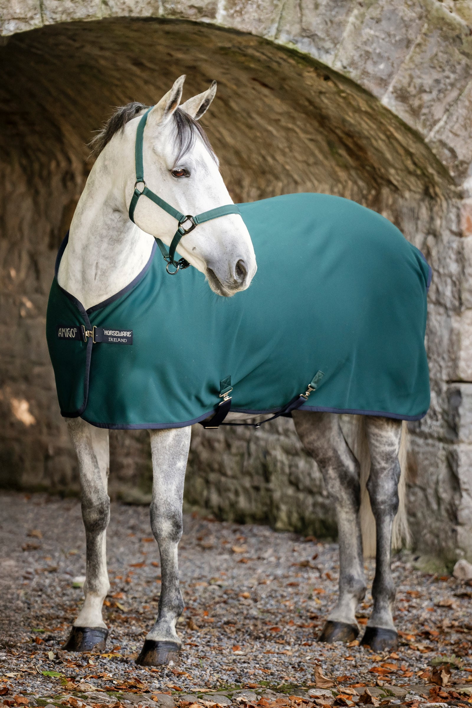 Horseware Amigo chemise séchante jersey Couvertures cheval