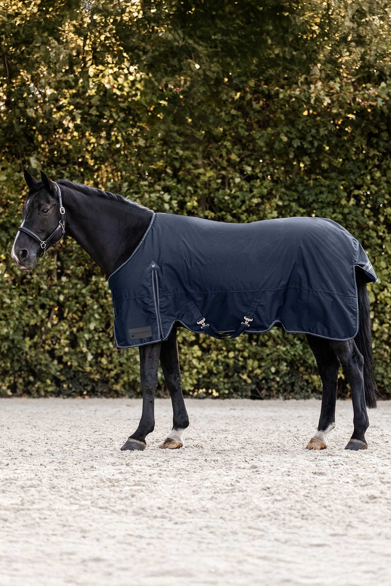 Waldhausen Arctic Couverture d'extérieur, 200 g Couvertures cheval
