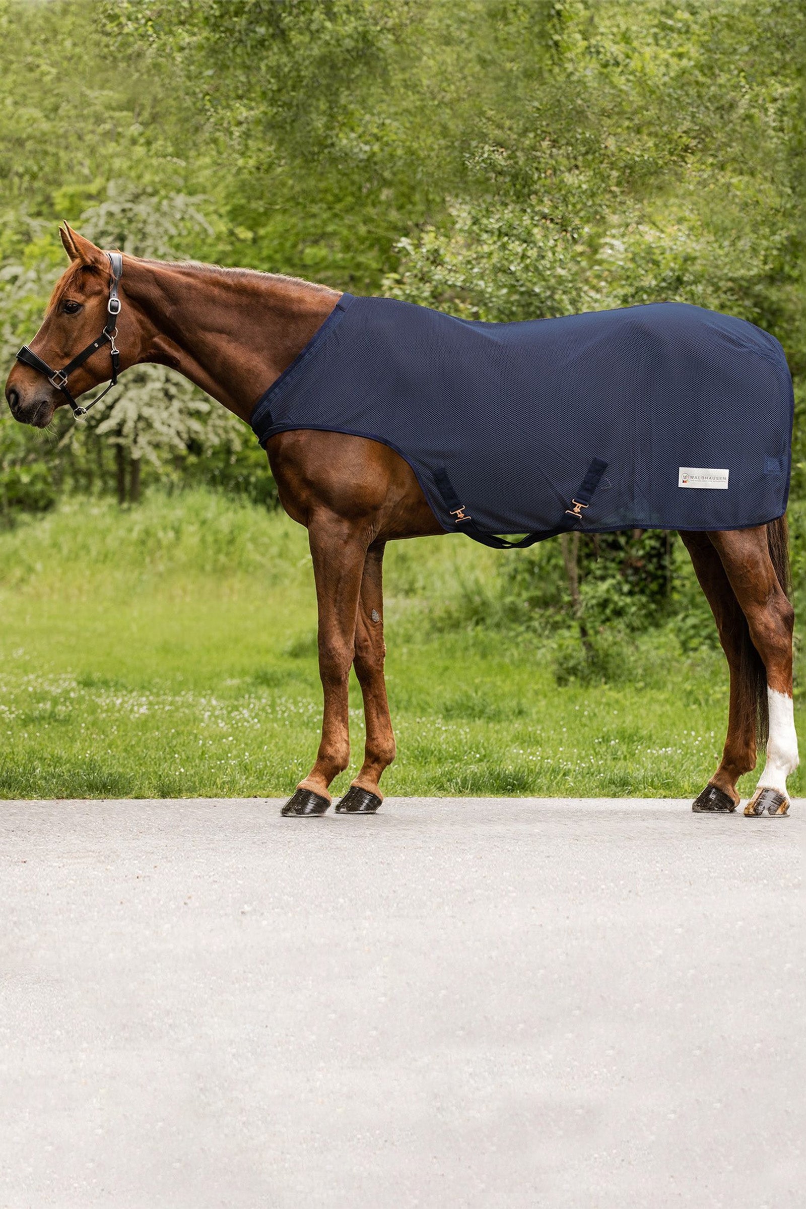 Waldhausen Couverture pour machine de marche pour chevaux volants COMFORT de Couvertures cheval