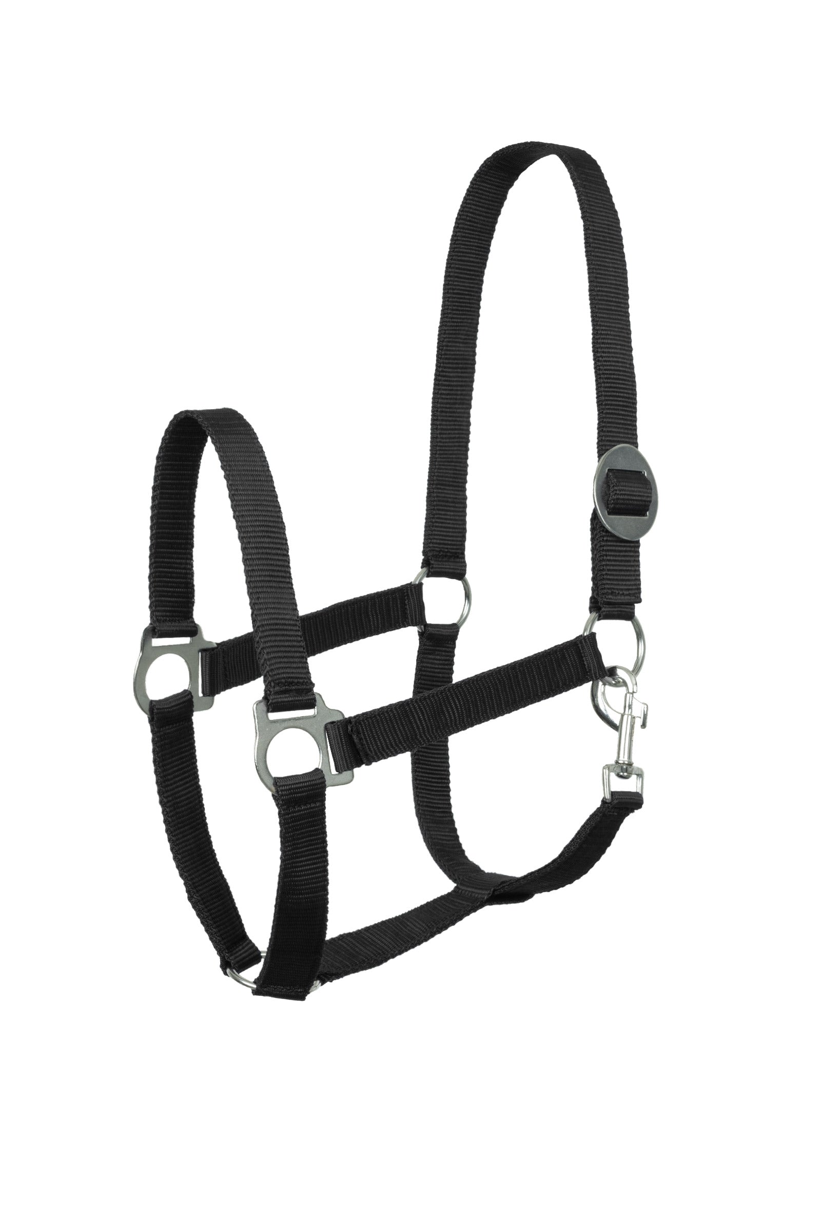 Horze Licol basique Licols & longes
