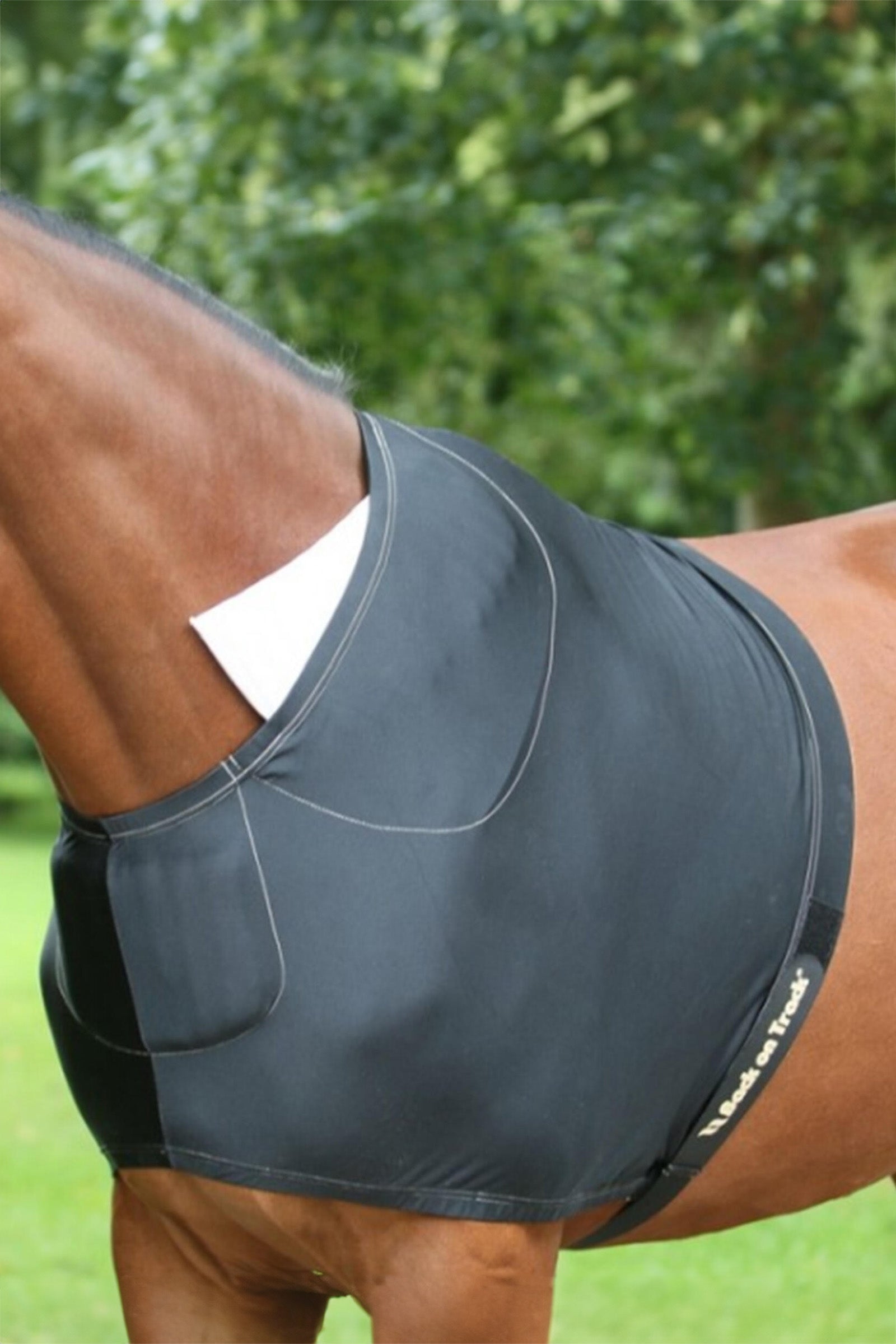 Back on Track Protection d'épaules Back on Track Couvertures cheval