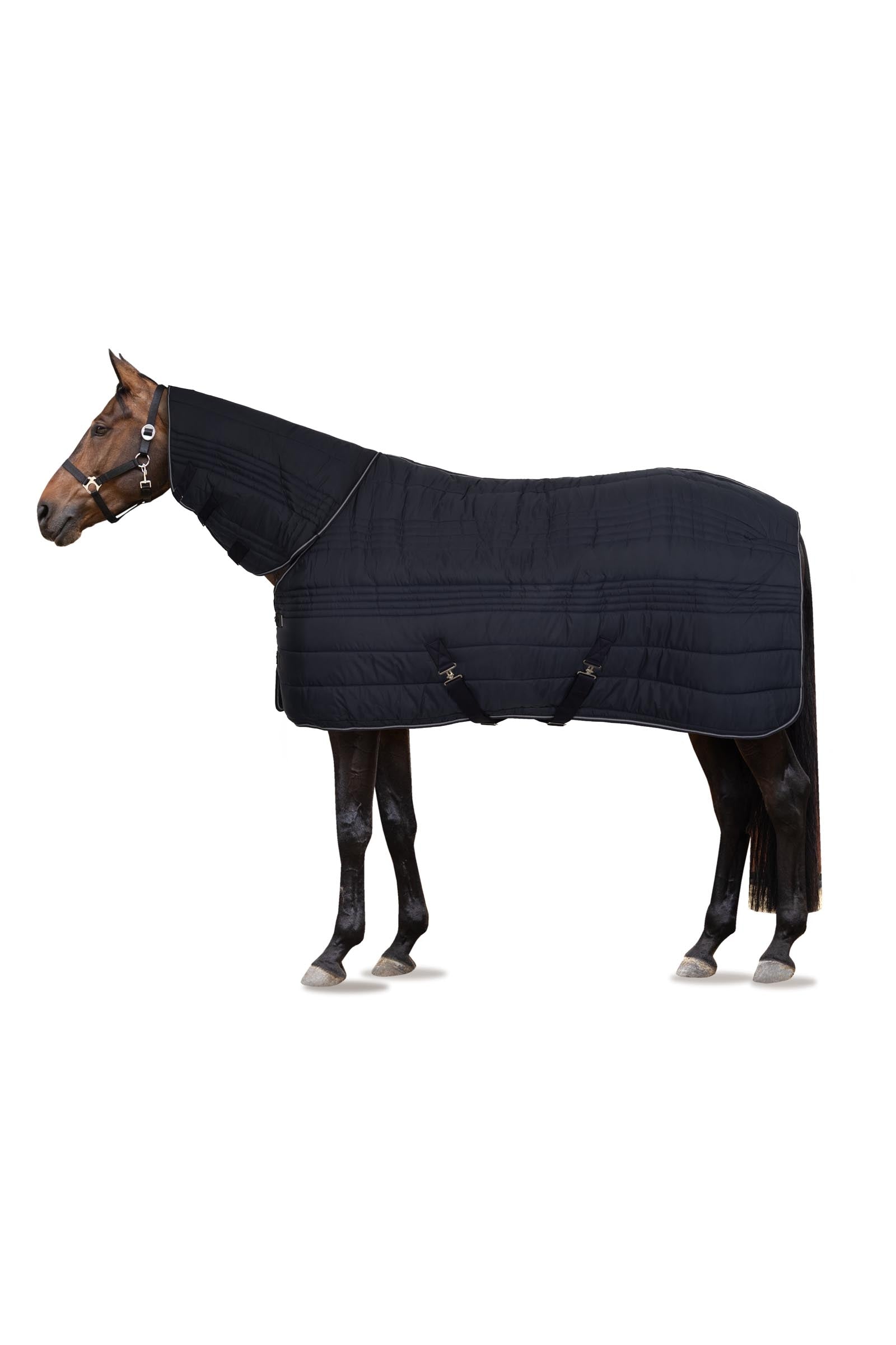 Horze Couverture d'écurie avec couvre-encolure Combo Kingsley, 300 g Couvertures cheval