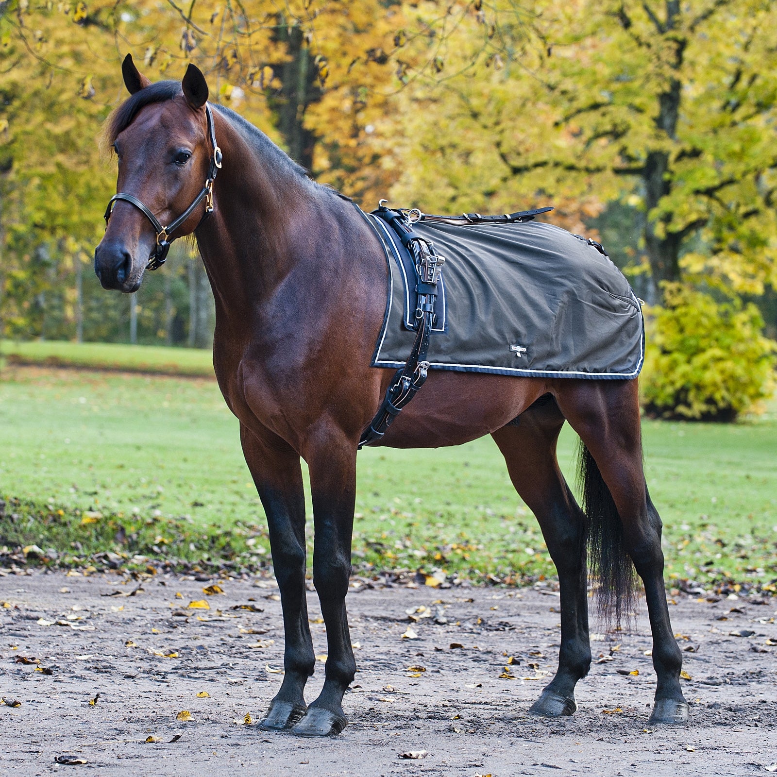Finntack Couvre-reins Endura Pro, doublure polaire Couvertures cheval