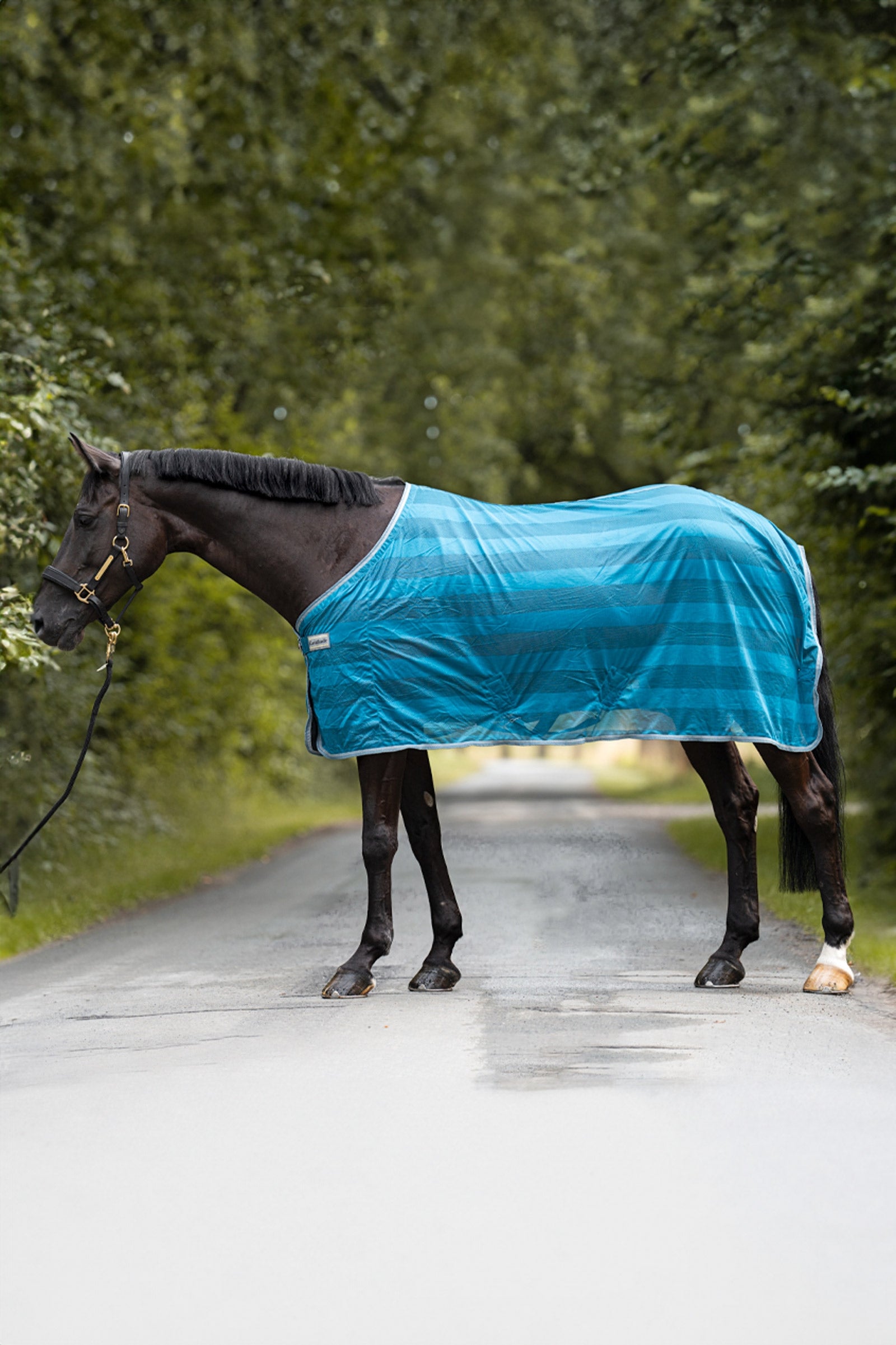 Kavalkade Couverture anti-mouches rayures Couvertures cheval