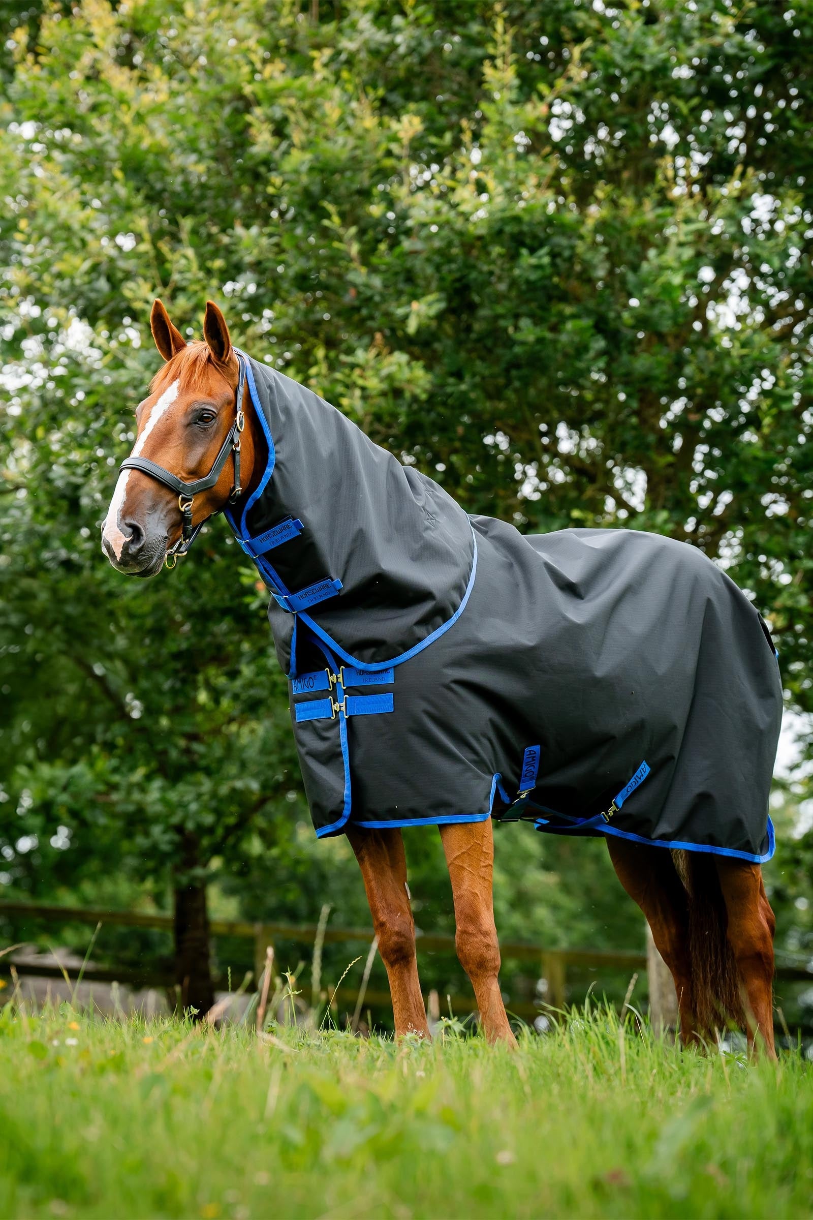 Horseware Amigo Ripstop 900D Plus couverture d'extérieur avec partie de cou amovible, 100 g Couvertures cheval