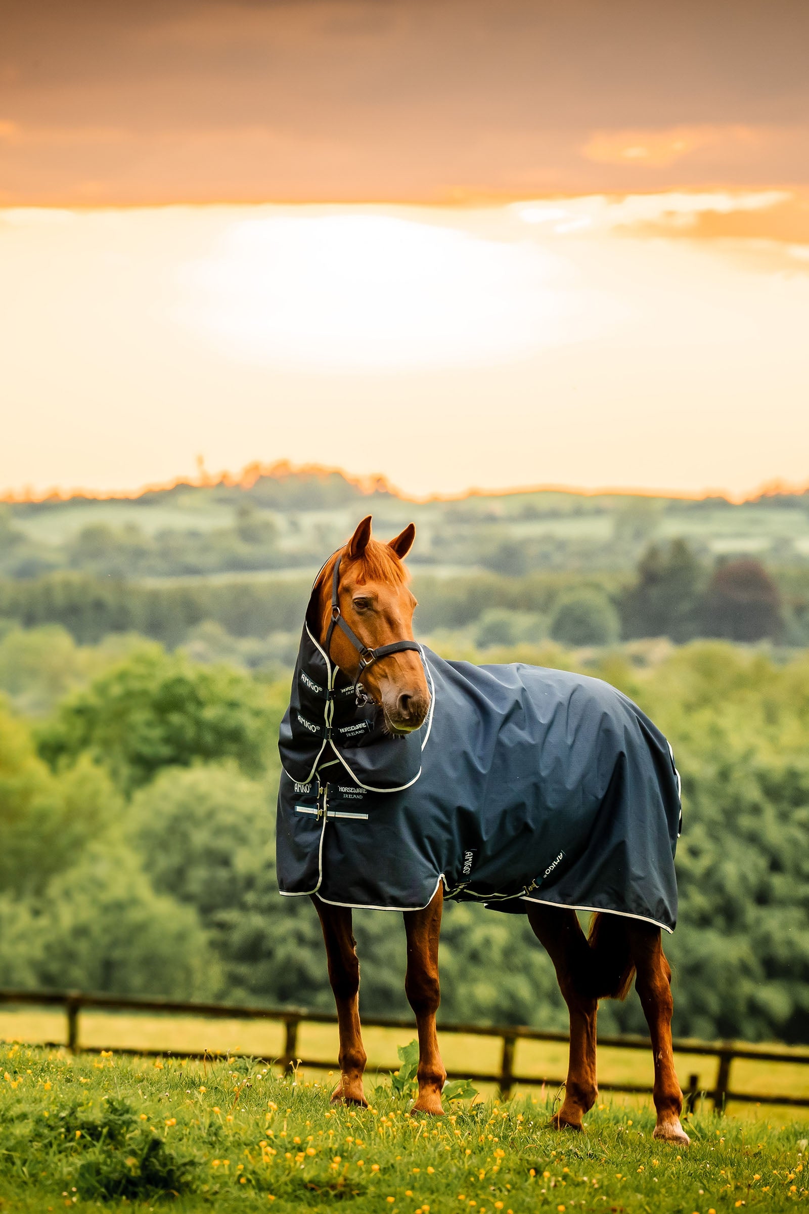 Horseware Amigo Ripstop 900D Plus couverture d'extérieur avec partie de cou amovible, 100 g Couvertures cheval