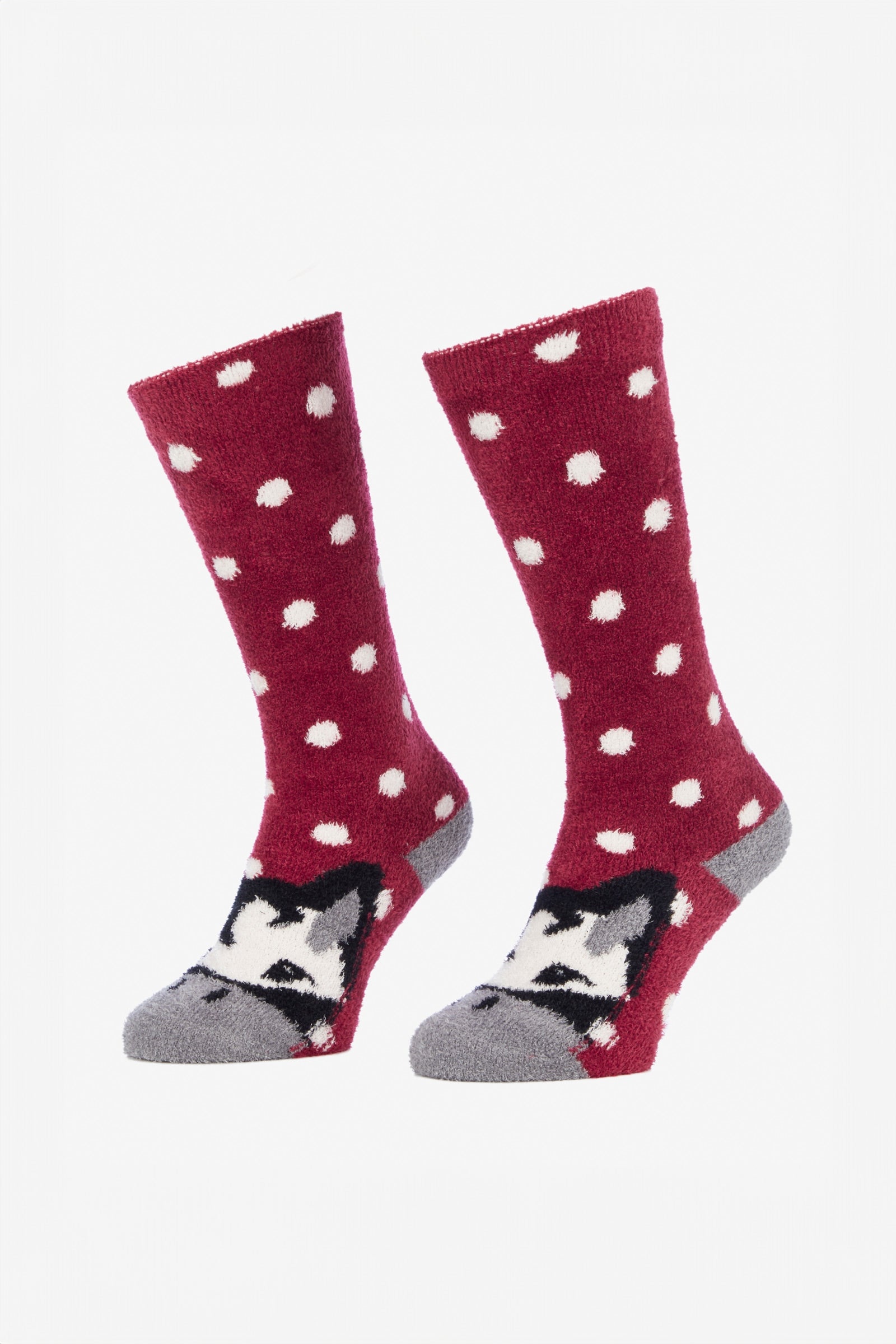 LeMieux Lot de 2 paires de socquettes LeMieux Chaussettes