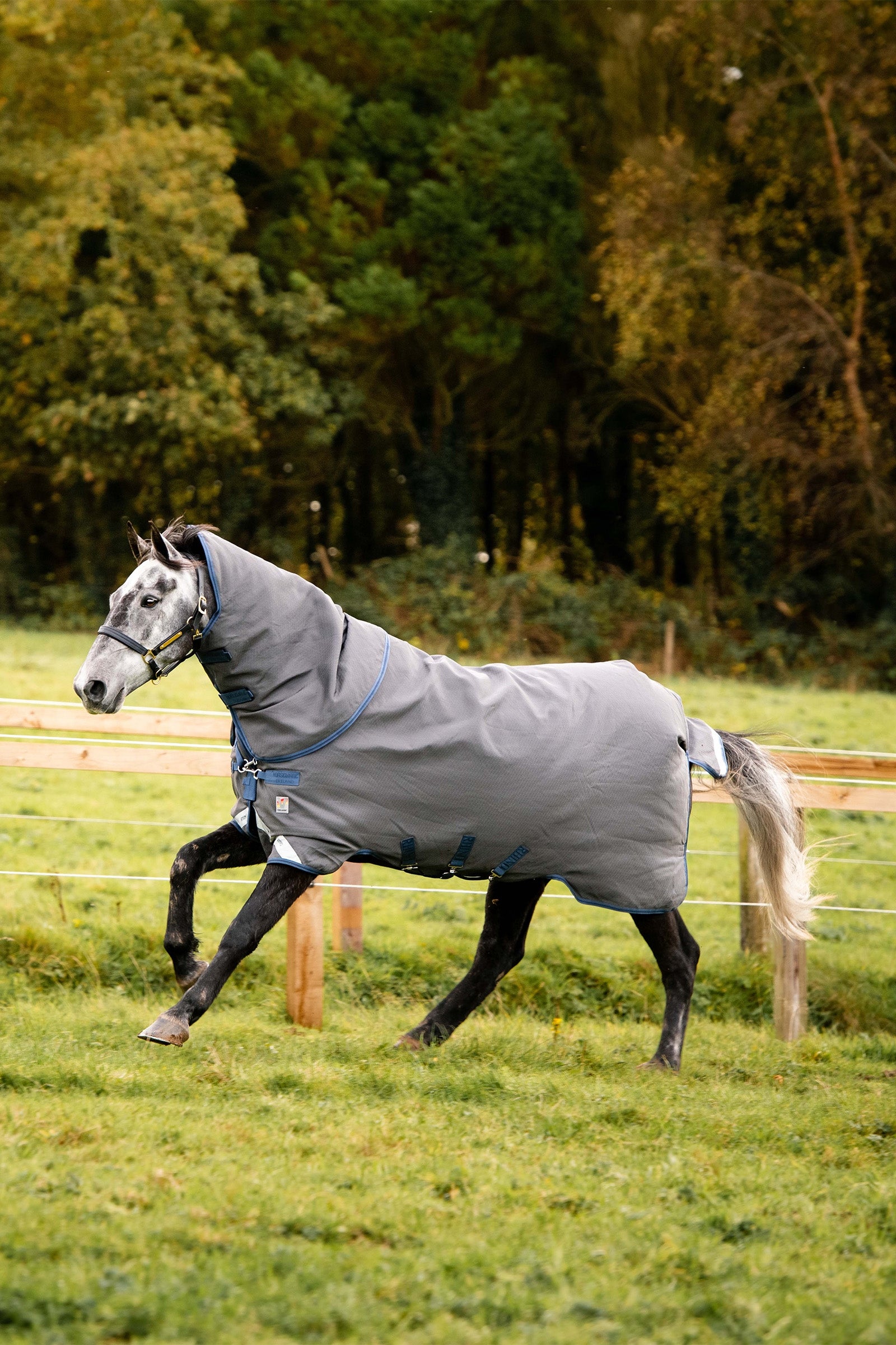 Horseware Rhino Plus HexSTOP Vari-Layer Couverture de Pâturage, 100g Couvertures cheval