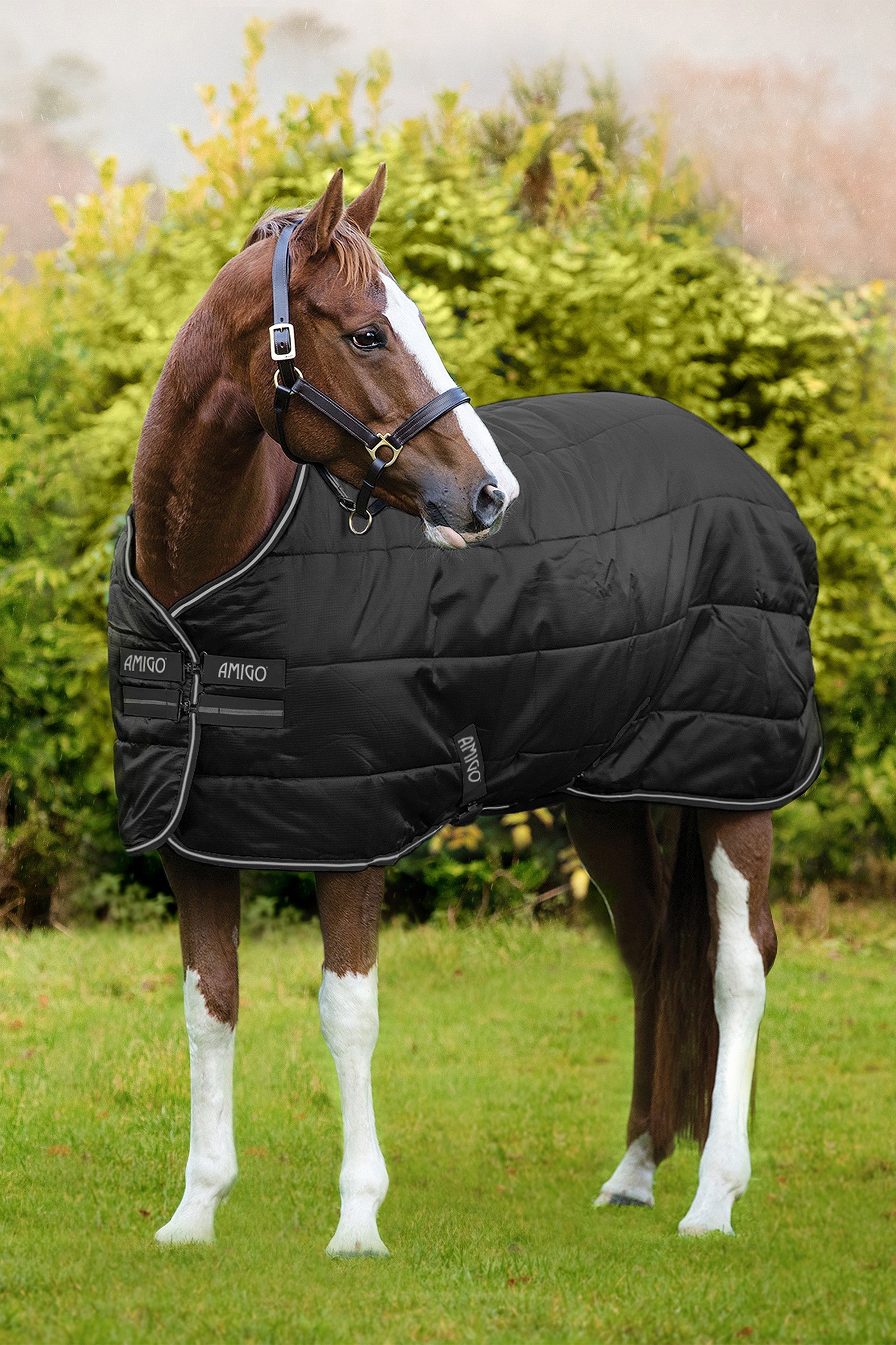 Horseware Amigo Diamond Isolateur, 100 g Couvertures cheval