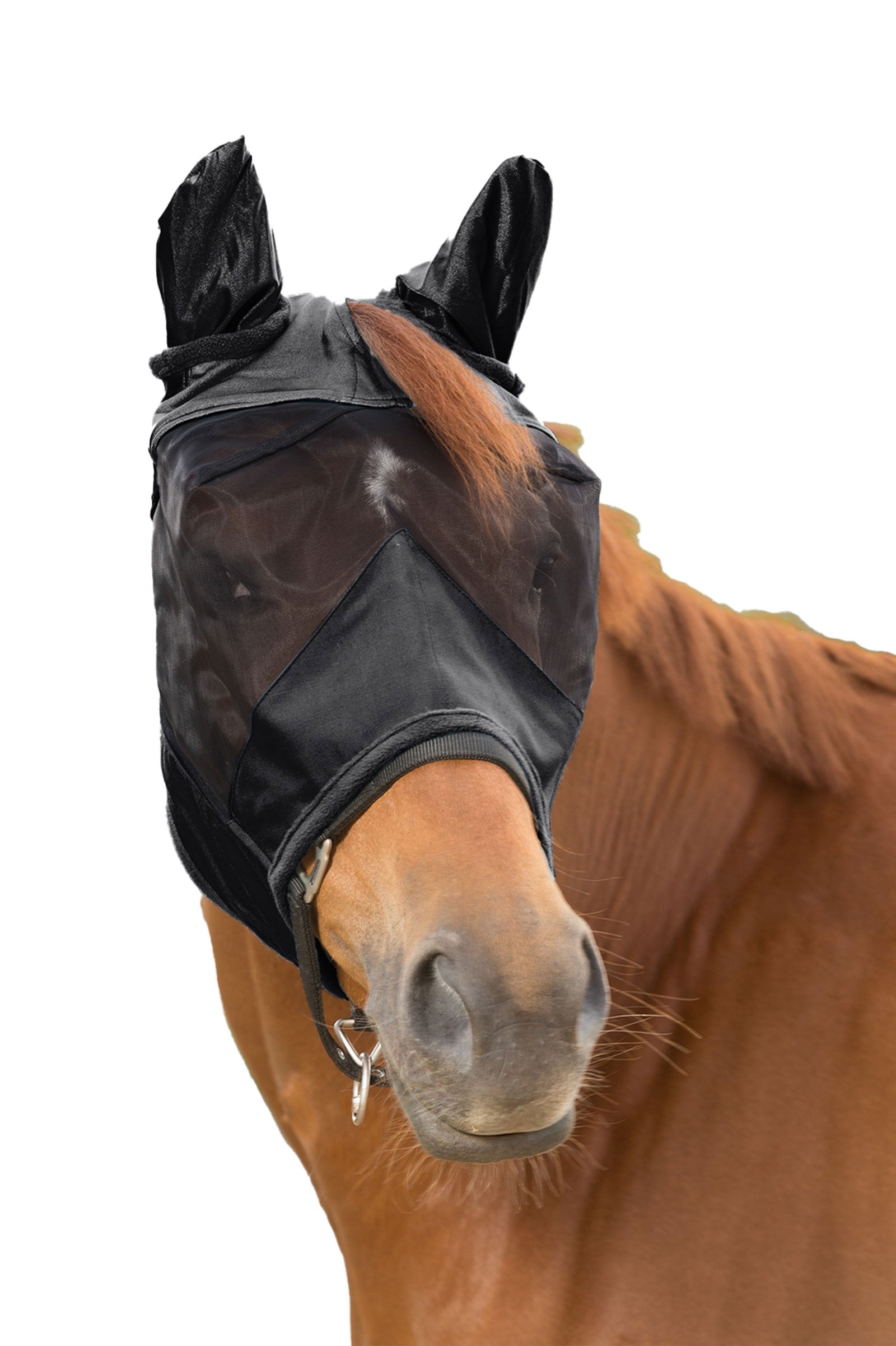 Waldhausen Premium masque anti-mouches avec oreilles Anti-mouches cheval