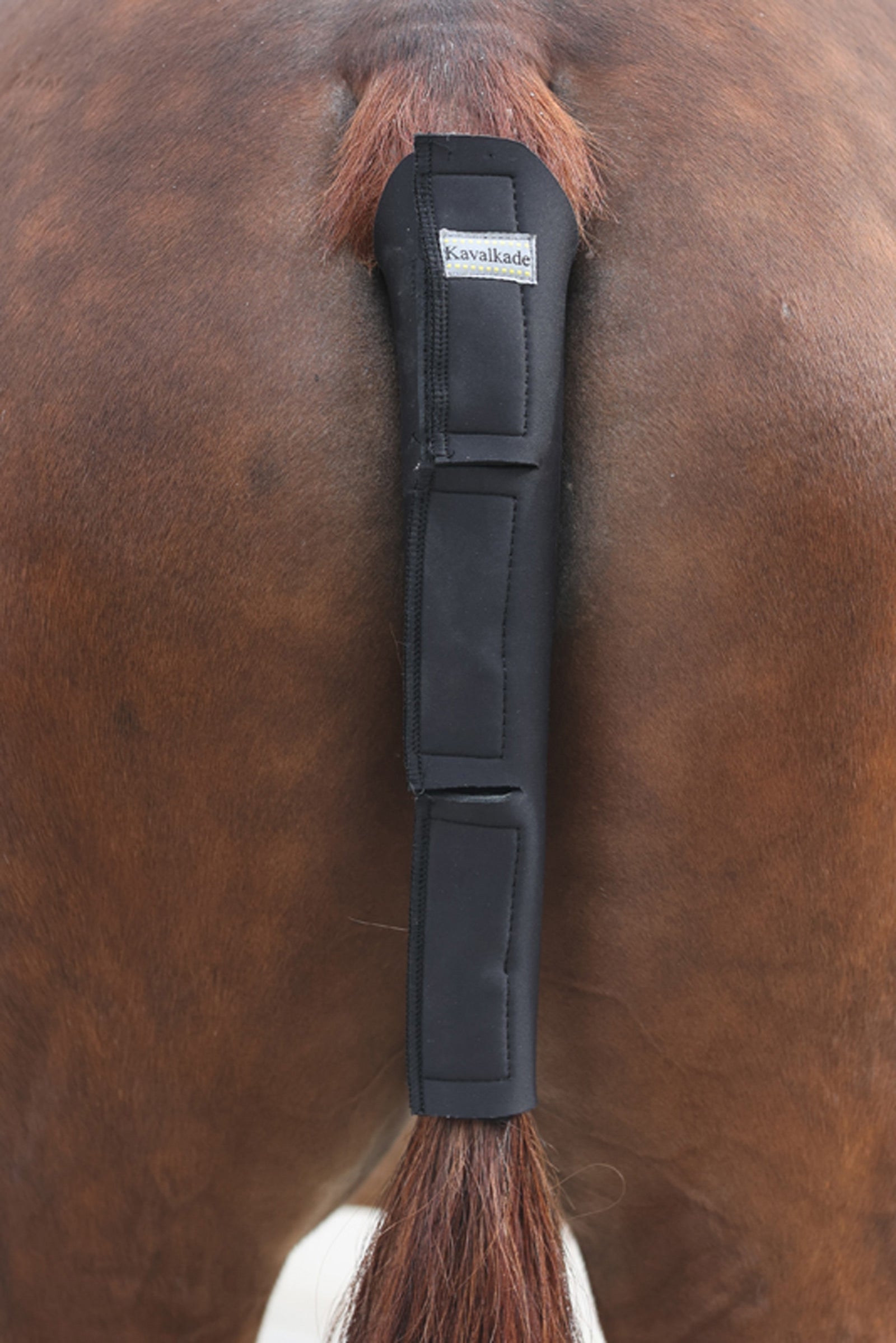 Kavalkade Protection de queue en néoprène Couvertures cheval