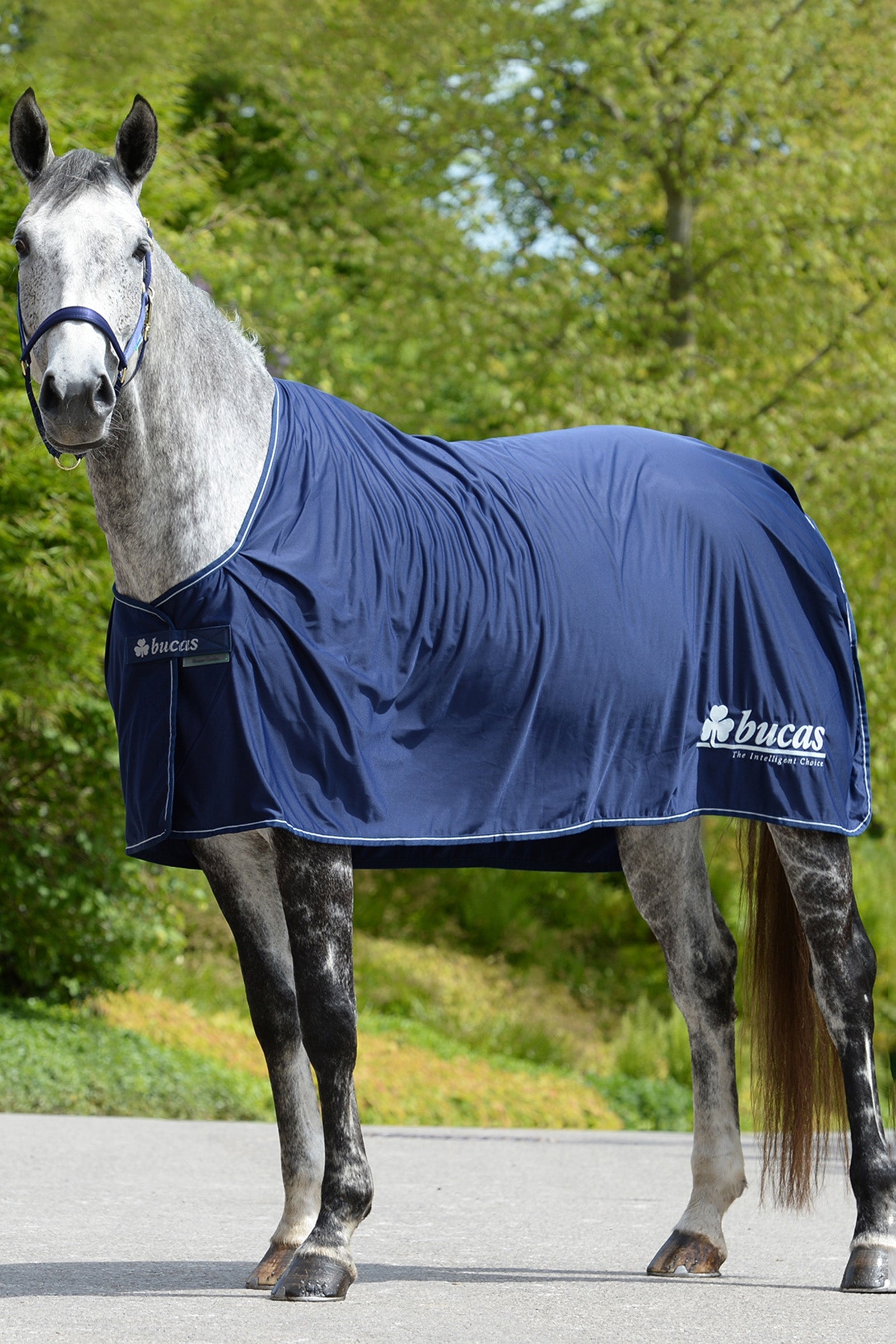 Bucas Chemise Power Prize Couvertures cheval