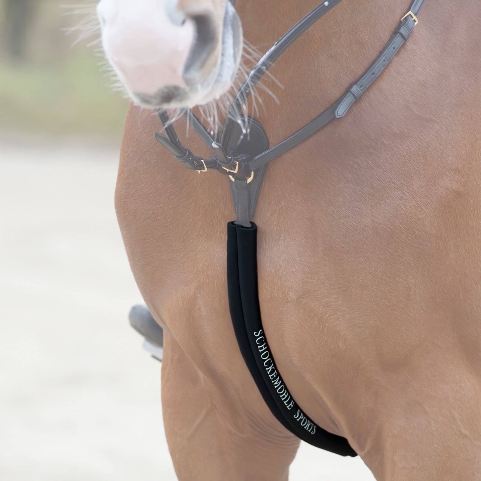 Schockemöhle Sports Body Guard , fourreau néoprène pour bricole Briderie et enrênements