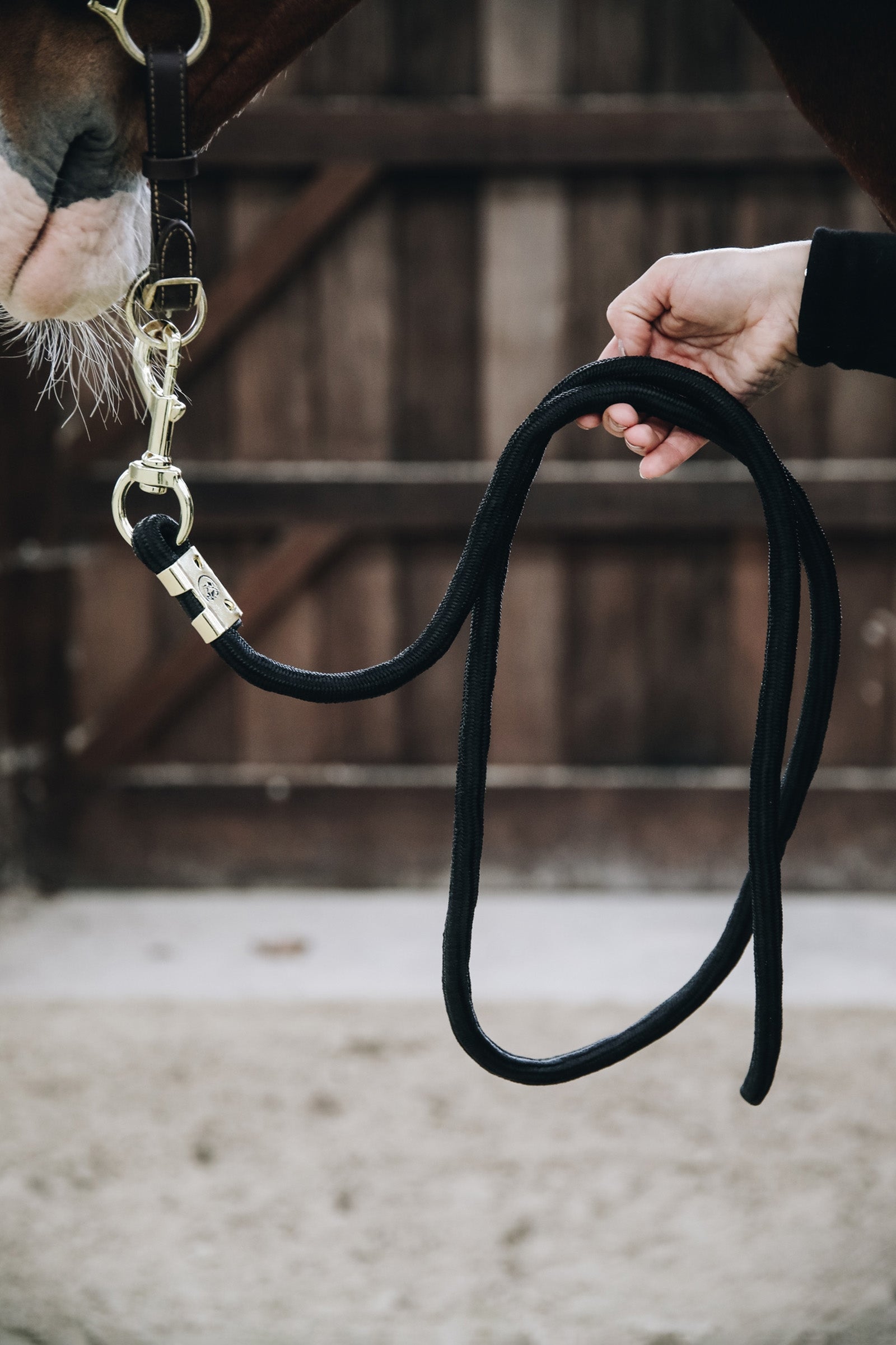 Kentucky Horsewear Lead rope basic 2m Licols & longes