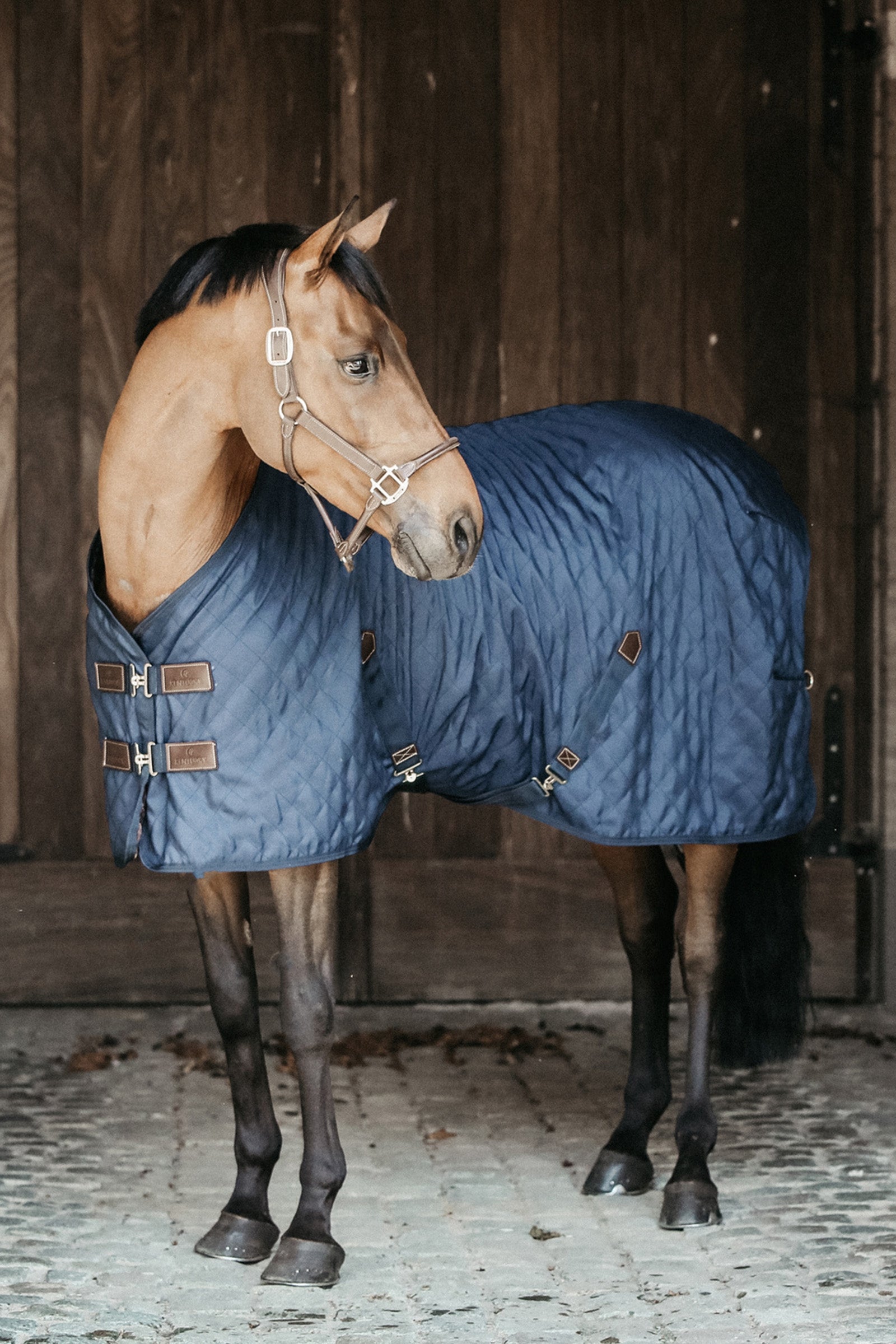 Kentucky Horsewear Couverture d'écurie 0 g Couvertures cheval