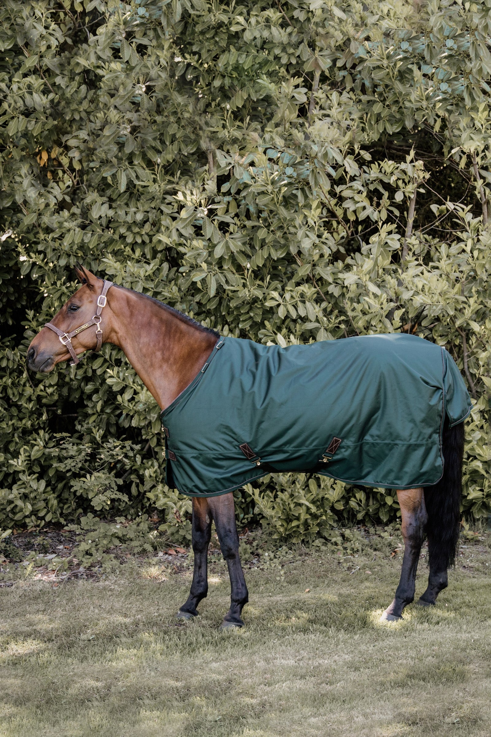 Kentucky Horsewear Couverture d'extérieur tout temps 160 g Couvertures cheval