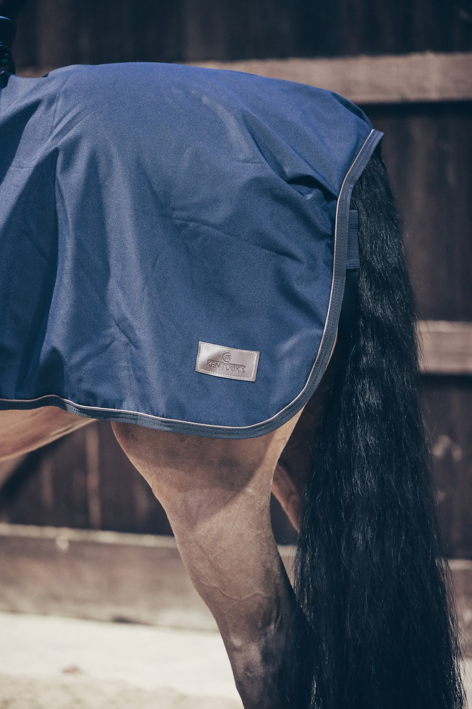 Kentucky Horsewear All Weather Exercise Sheet, 160g Horse Rugs