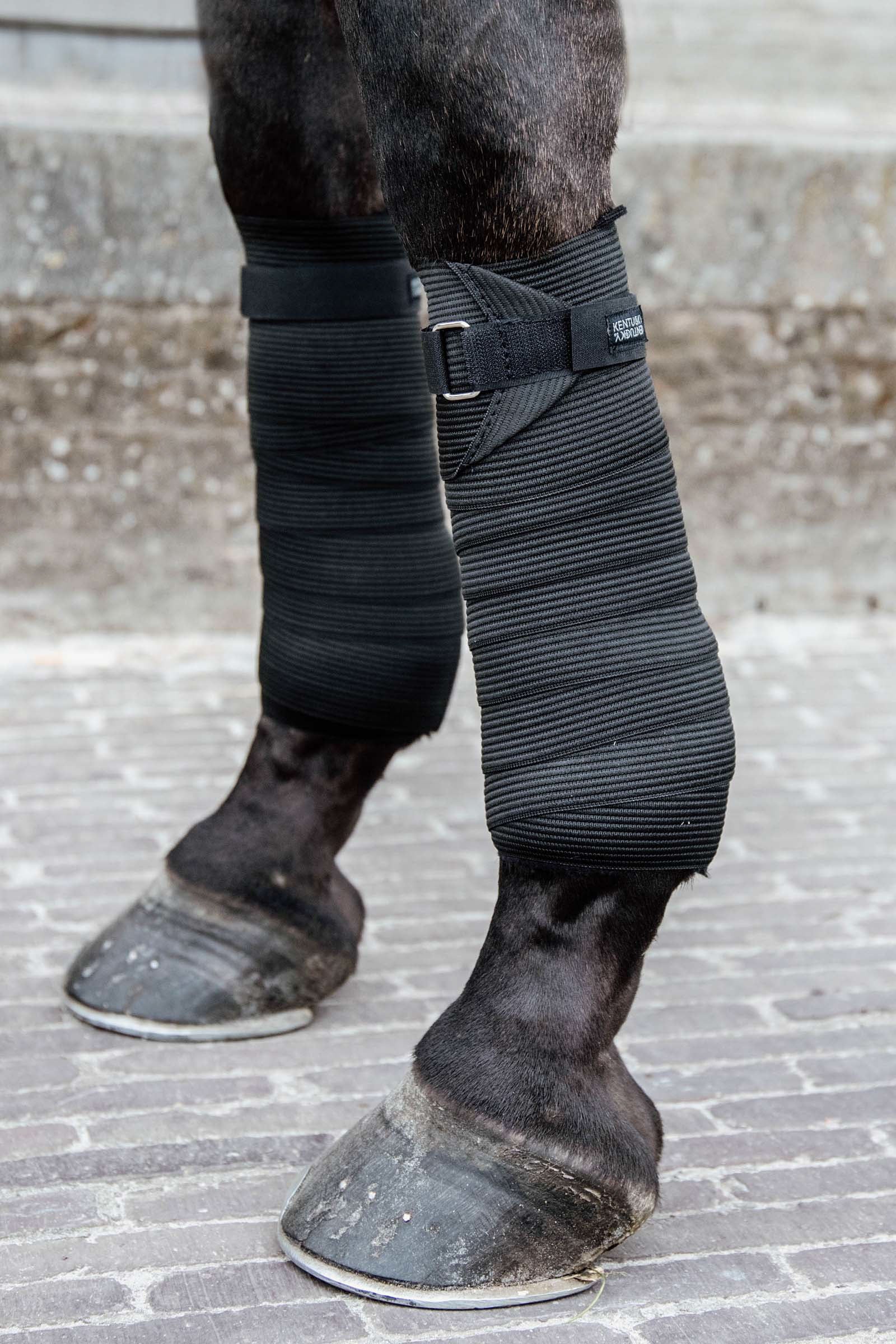 Kentucky Horsewear Bandes en polaire élastiques Polar Leg Protection & Hoof Protection for Horses