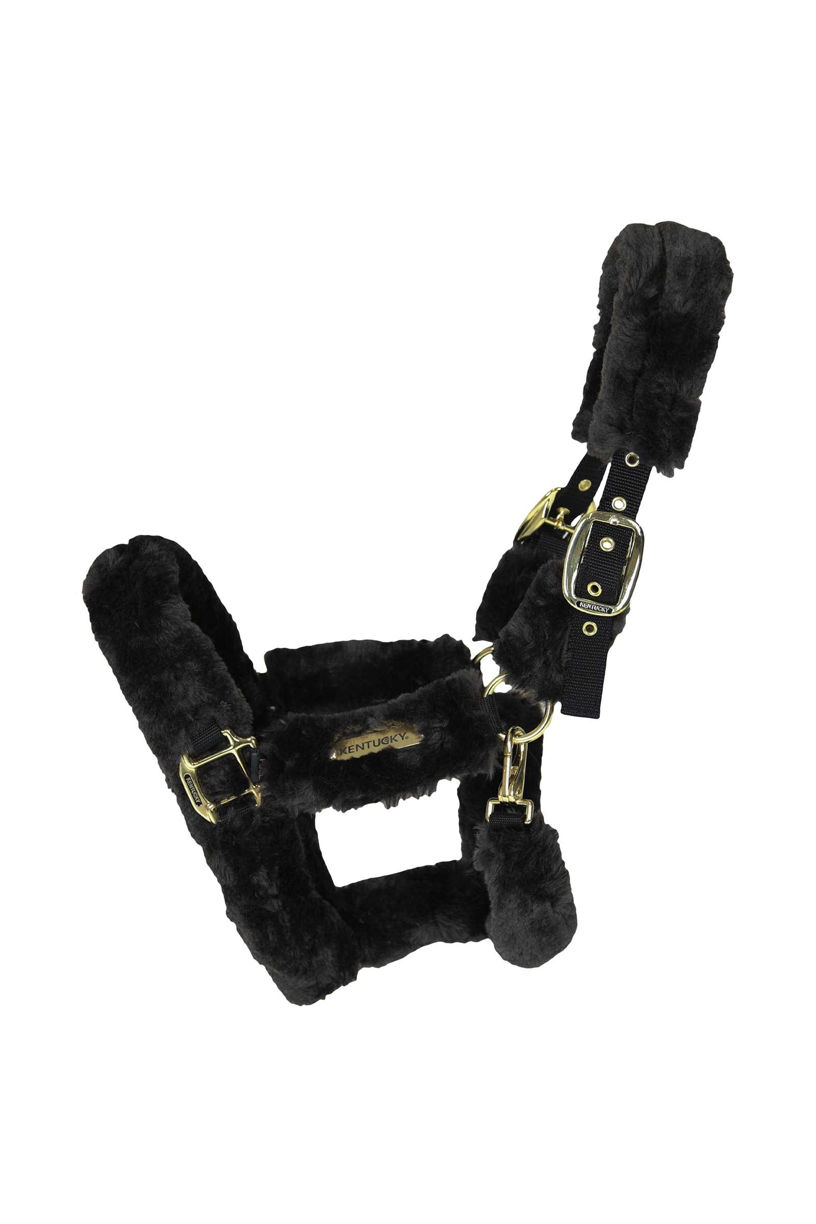 Kentucky Horsewear licol doublé mouton pour transportage Licols & longes