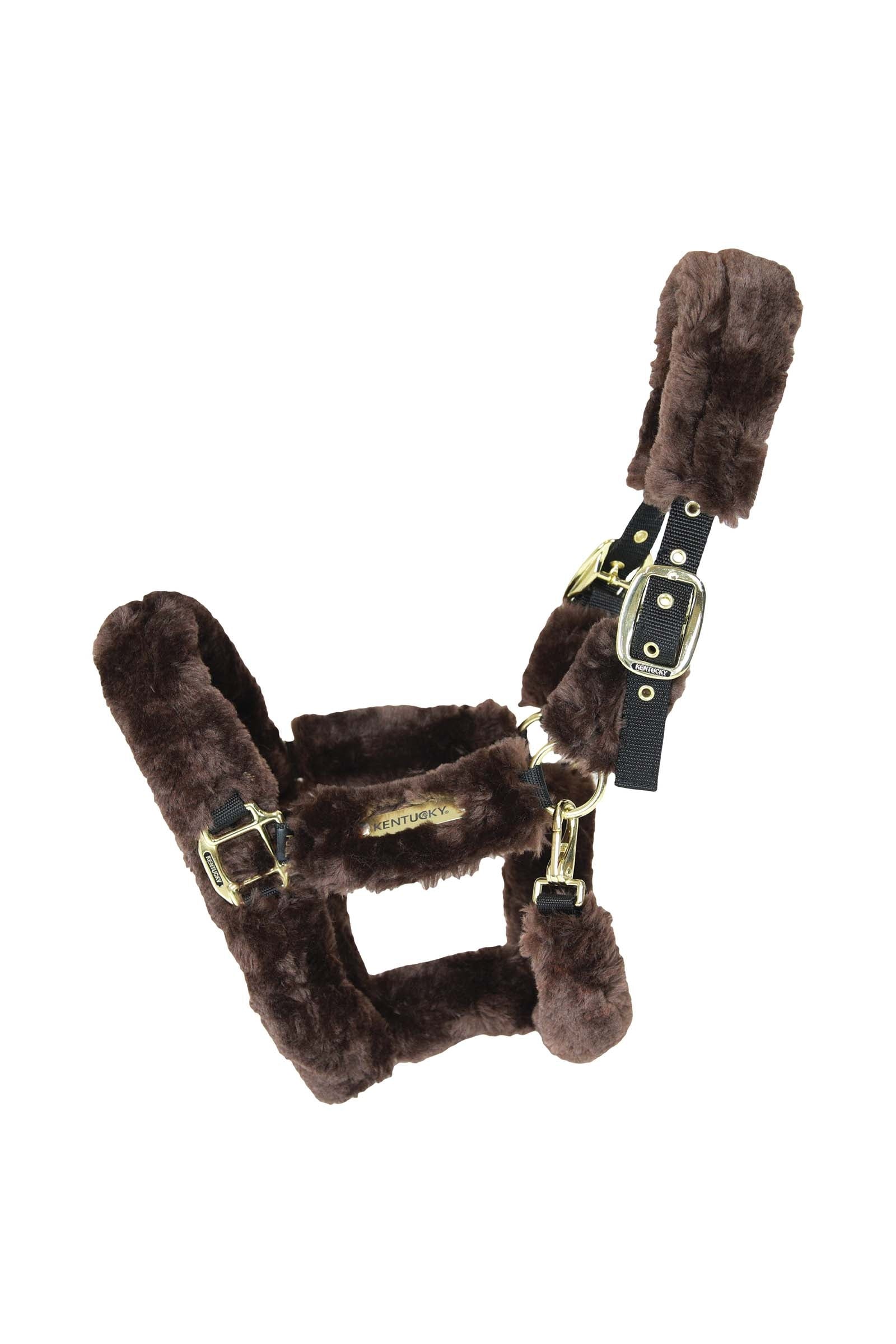 Kentucky Horsewear Shipping Halter With Sheepskin Halters & Leads