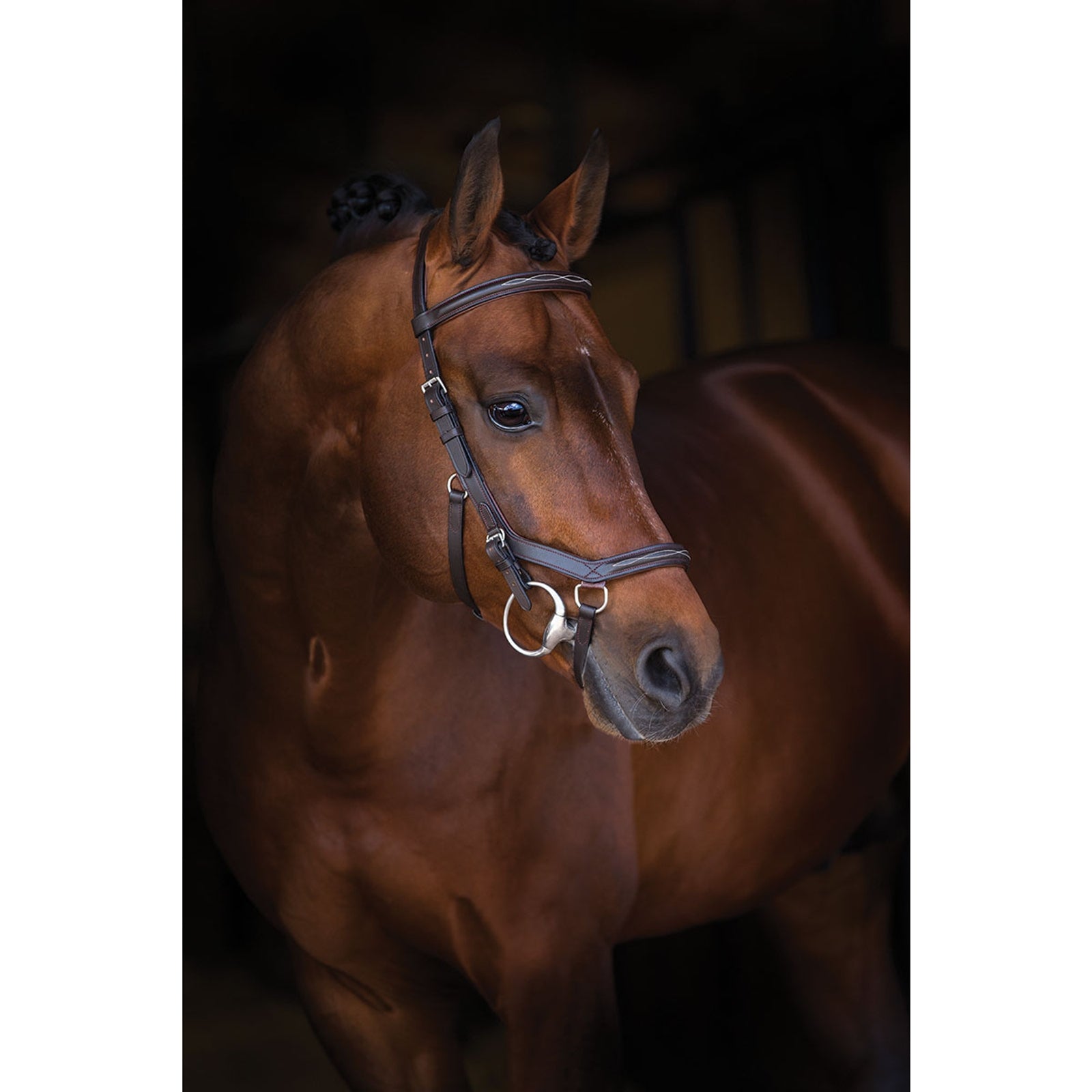 Horseware - Rambo® Compétition Couvre rein - Sellerie EHC Horseware - Rambo® Compétition Couvre rein - Sellerie EHC