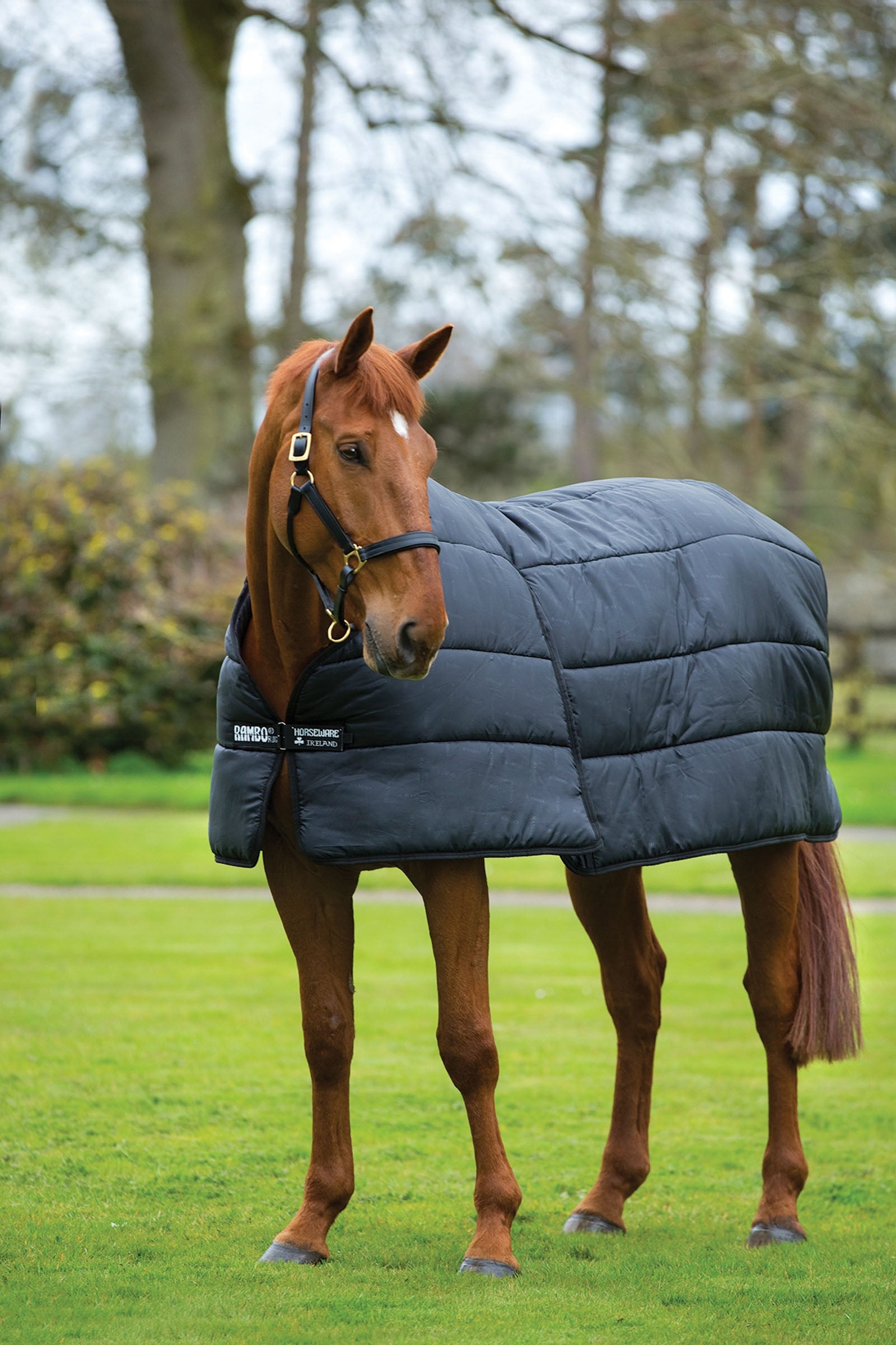 Horseware Ireland Couverture d'Écurie Rambo Stable 200 g Horseware Ireland Couverture d'Écurie Rambo Stable 200 g