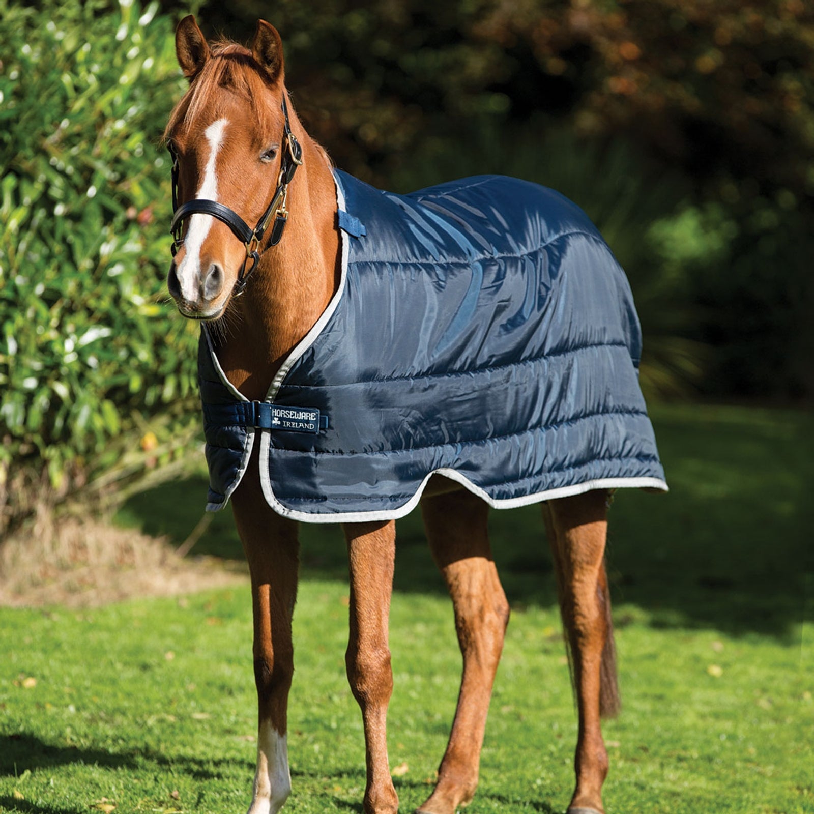 Horseware Liner HW 100g pour poney Couvertures cheval