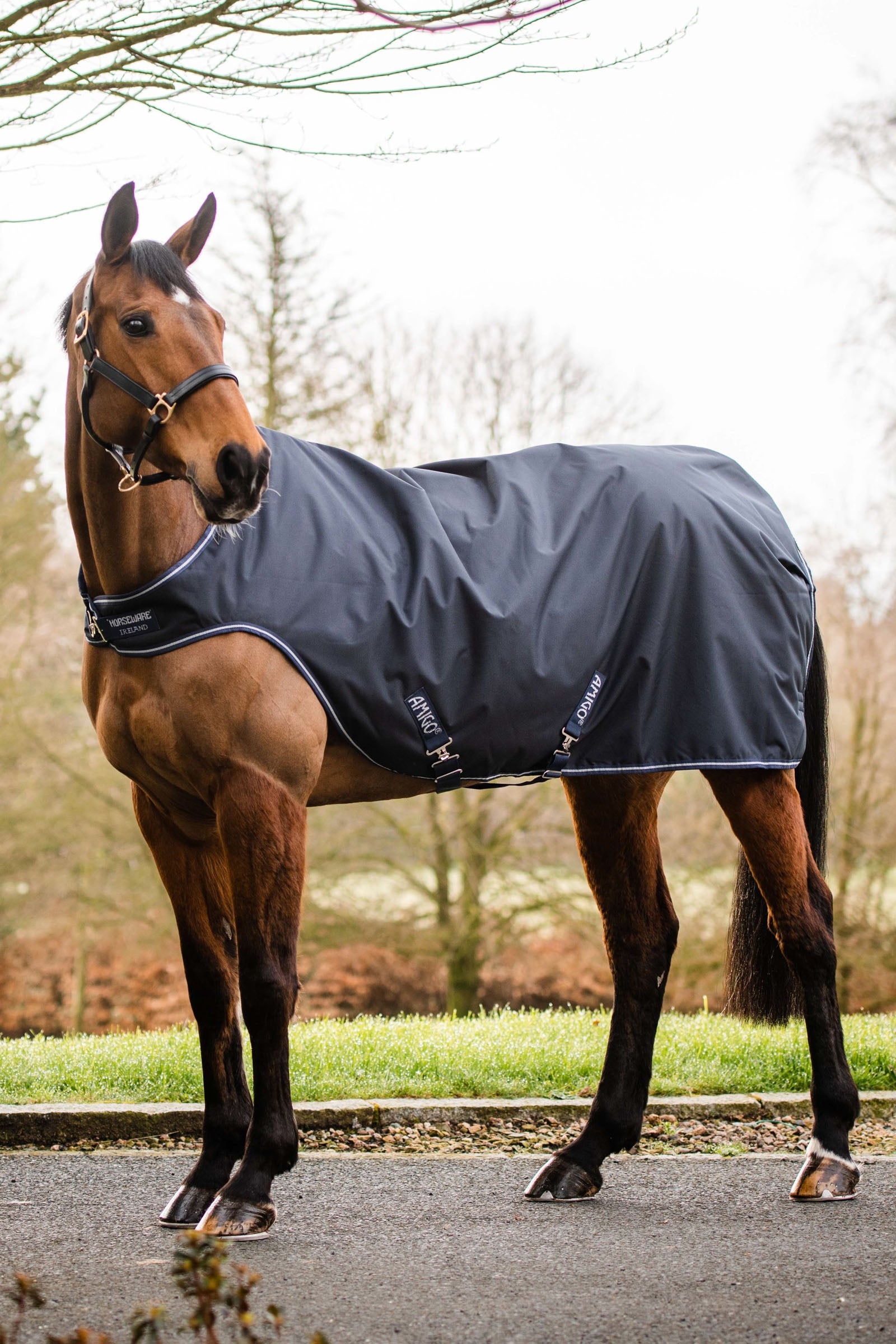 Tapis D'écurie Amigo 100g 6'3 - Bleu - Horseware - Occasion