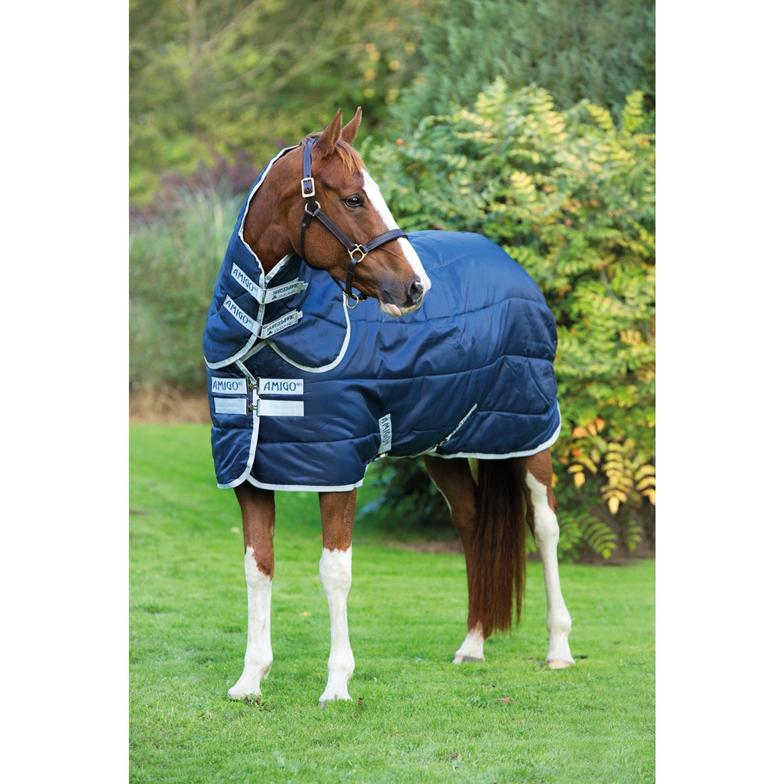 Horseware Amigo Insulator Plus Couverture écurie avec couvre-cou amovible, 200g Couvertures cheval