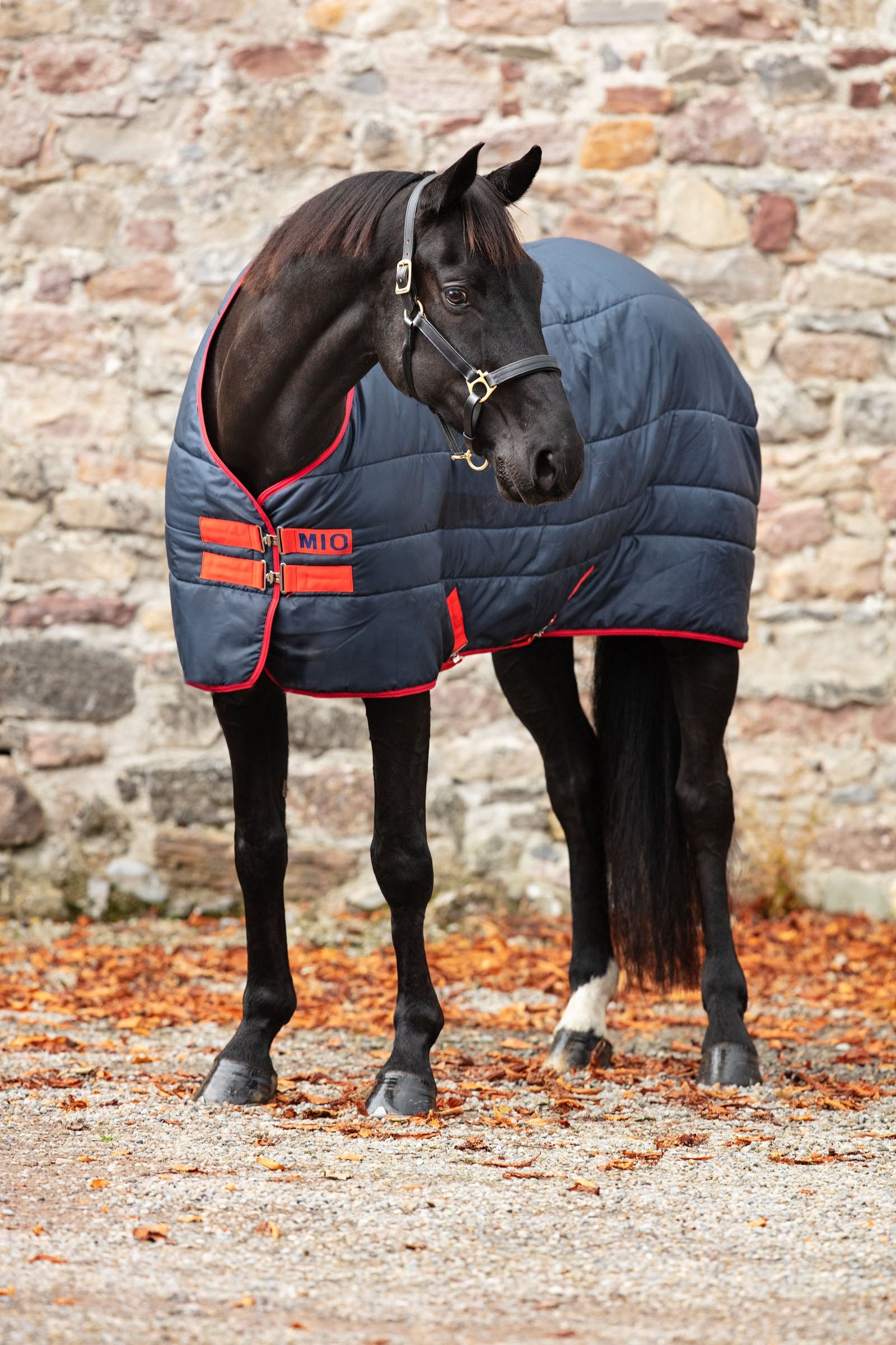 Horseware Mio Insulator couverture écurie, 150g Couvertures cheval