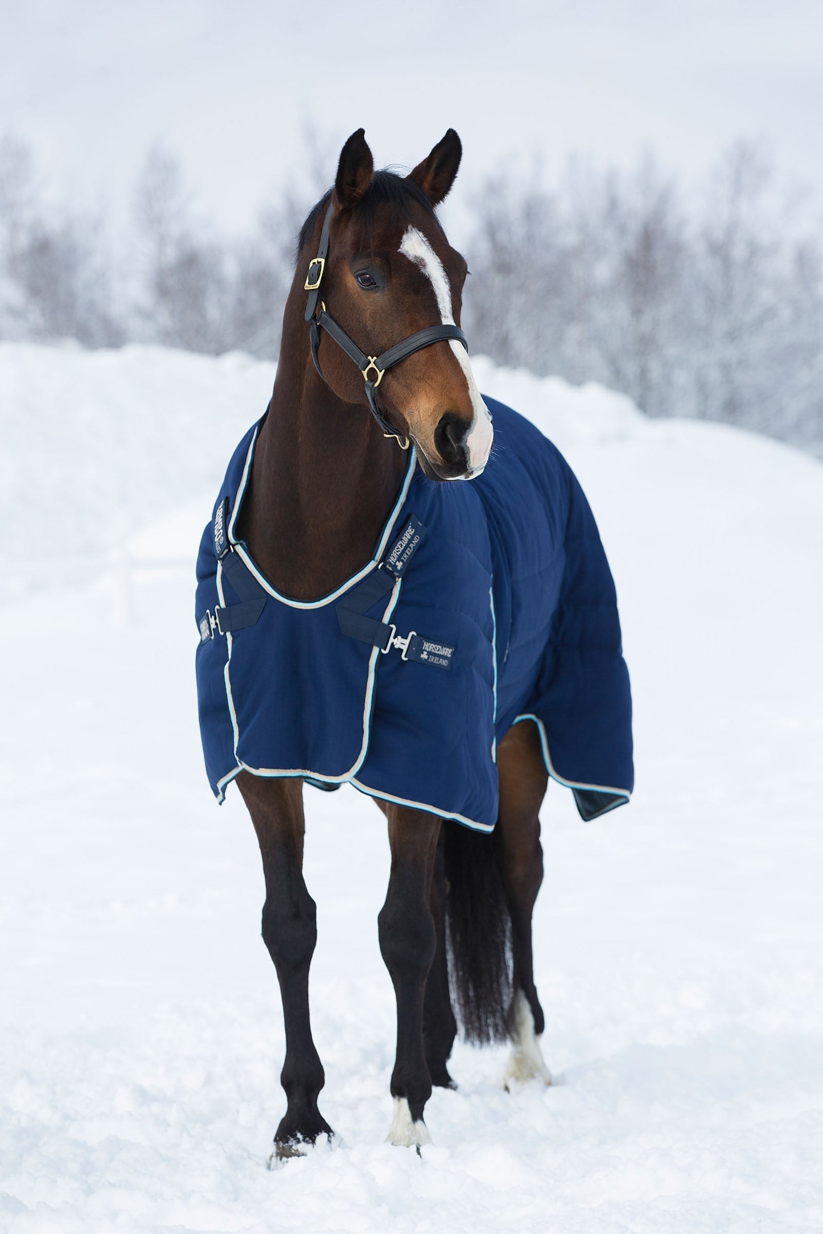 Horseware Couverture d'écurie Rambo Optimo 400 g Couvertures cheval