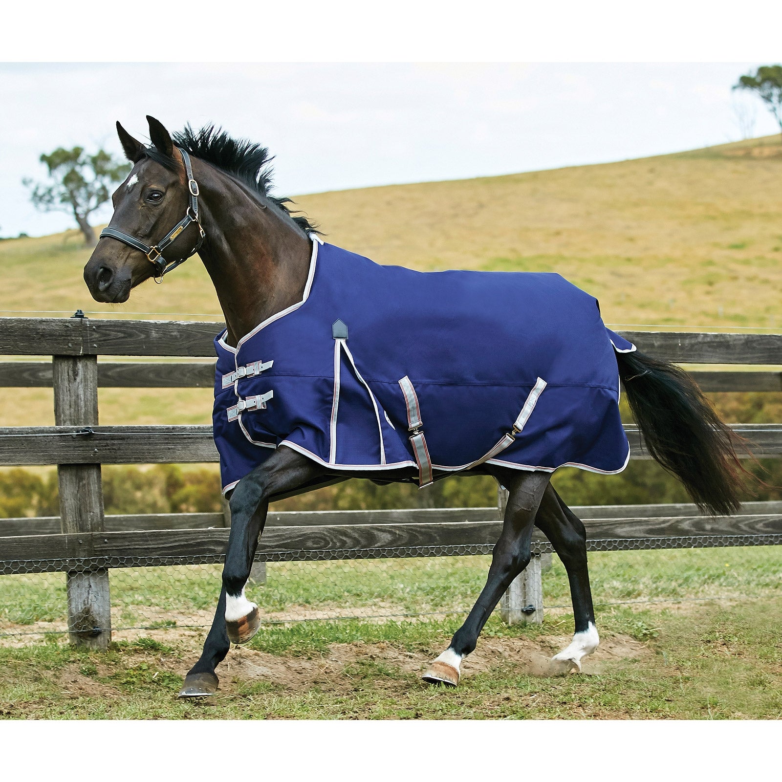 Weatherbeeta Couverture Comfitec Essential Standard neck Lite, tour d'encolure standard 0g Couvertures cheval