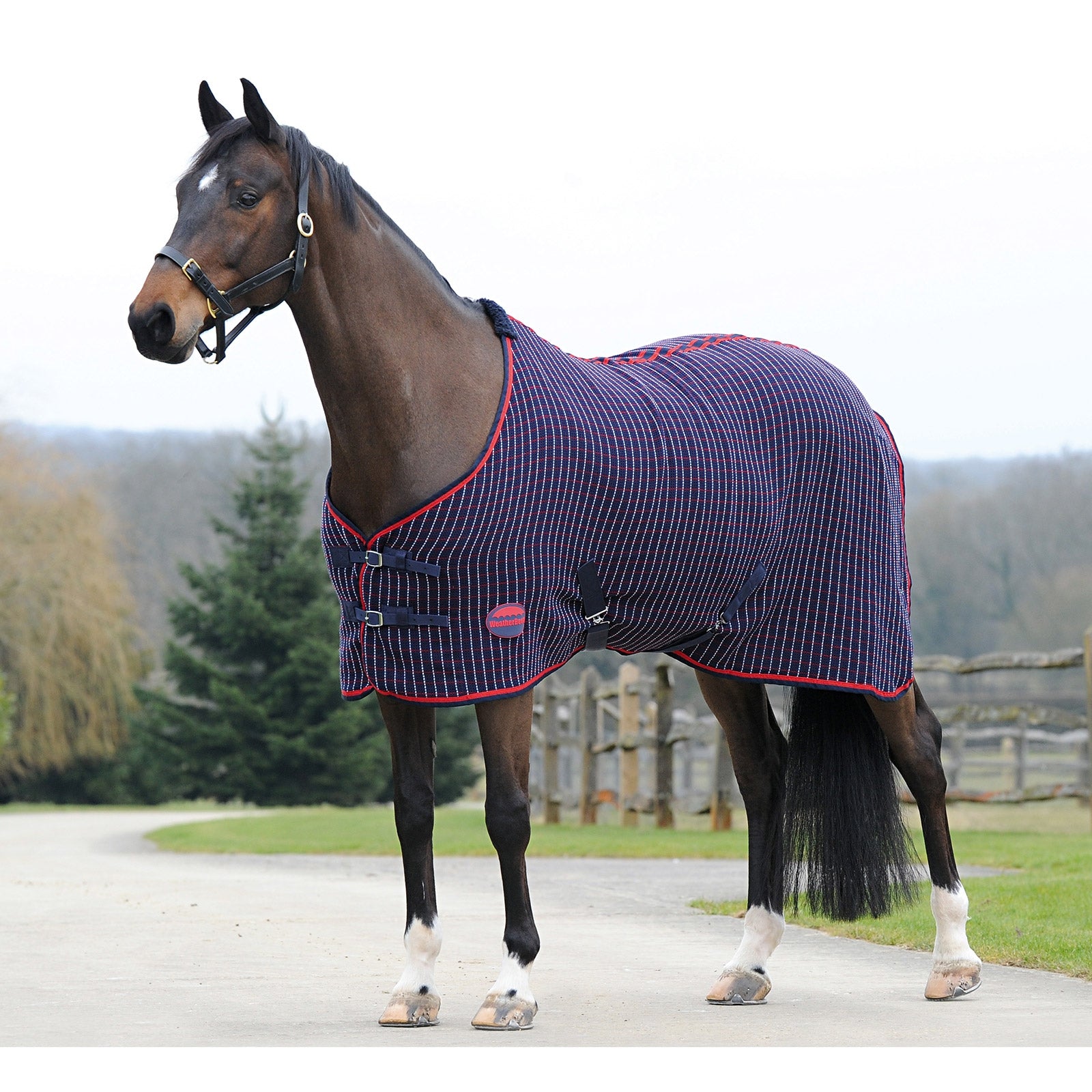Weatherbeeta Chemise séchante nid d'abeille Couvertures cheval