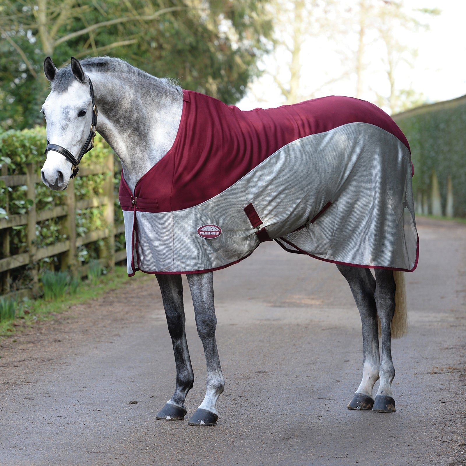 Weatherbeeta Chemise séchante Micro-Air Cooler, tour d'encolure standard Couvertures cheval